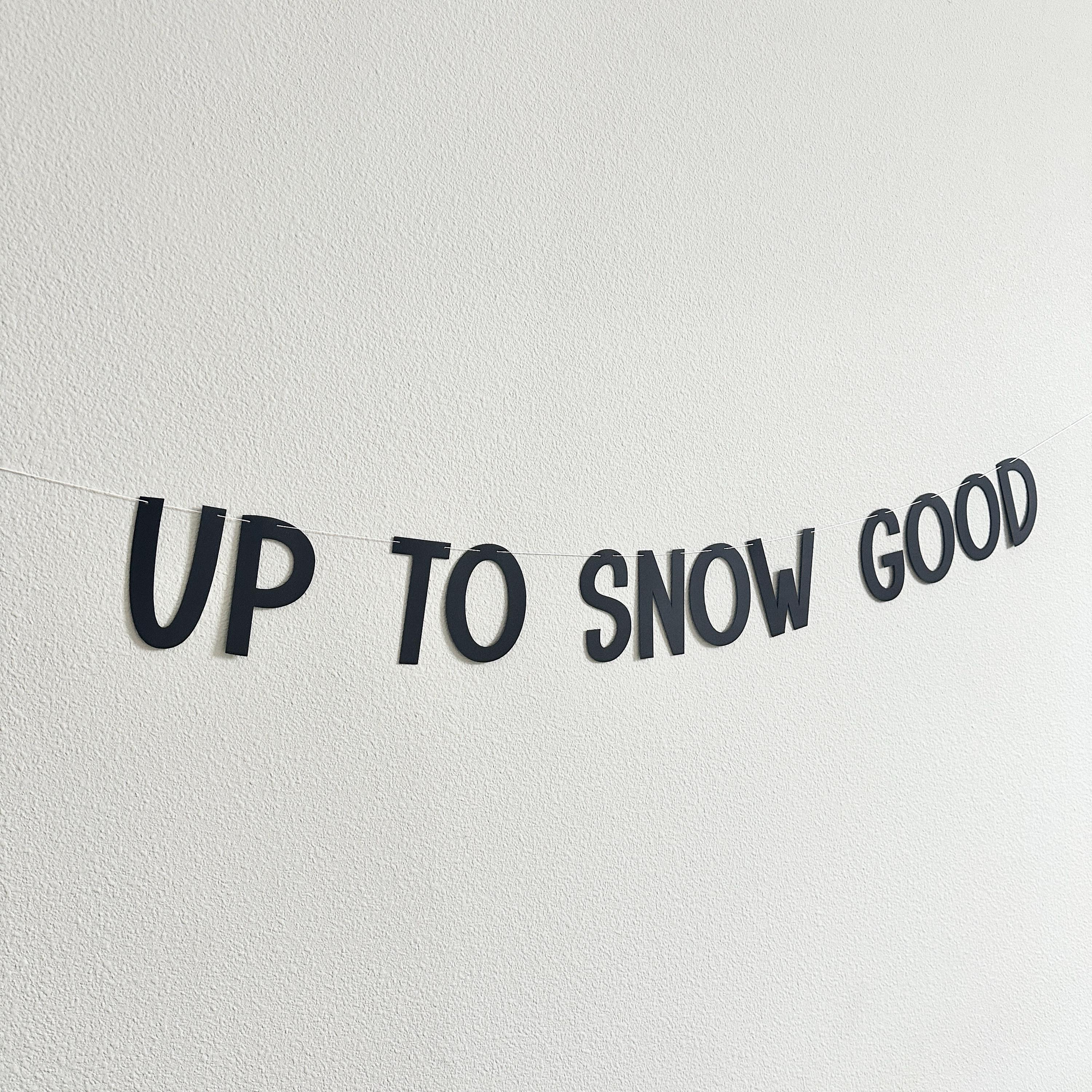 Up To Snow Good, Up To Snow Good Decorations, Up To Snow Good Banner, Winter Bachelorette, Up To No Good Decorations