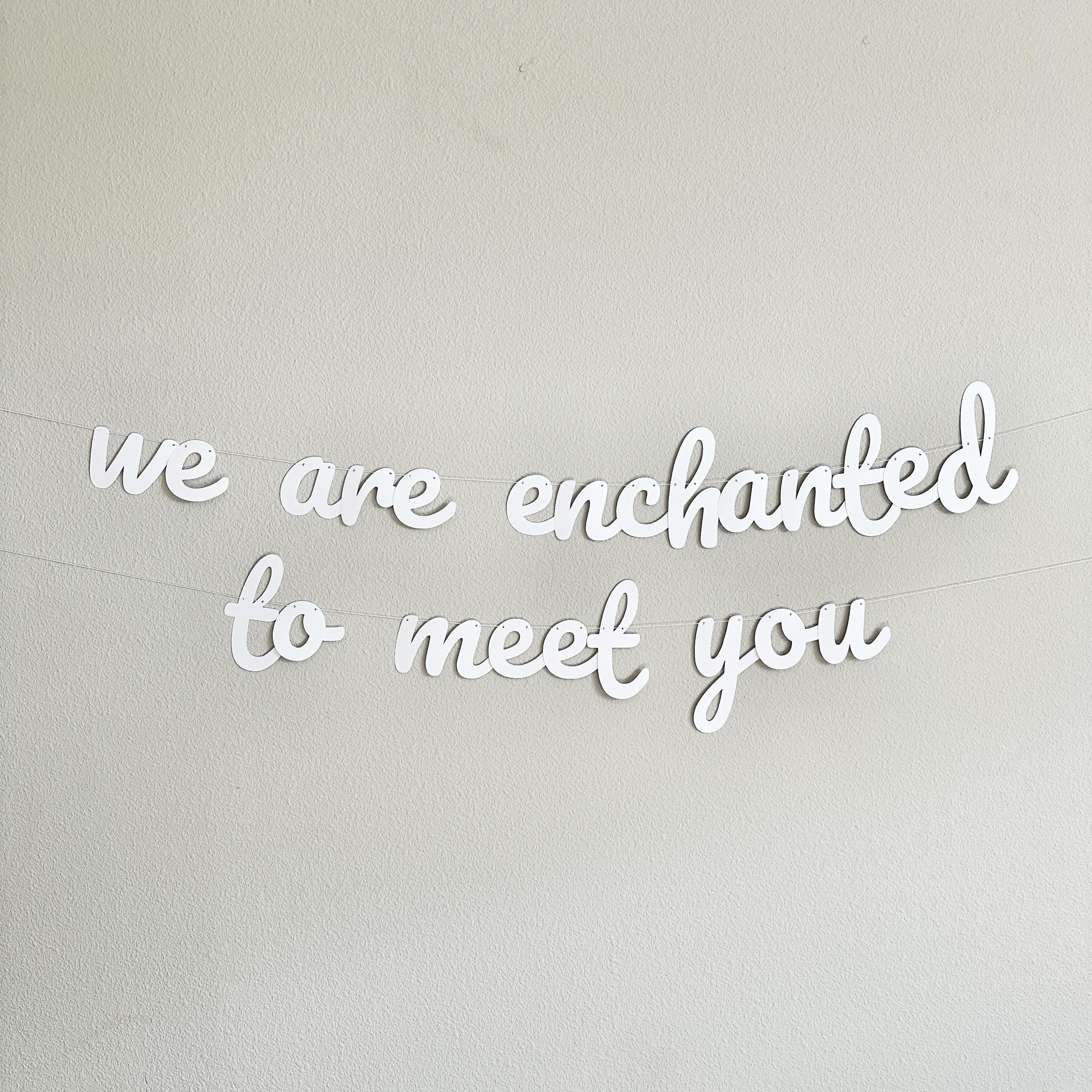 We Are Enchanted To Meet You, Baby Shower Banner, Baby Shower Ideas, Cursive Baby Shower Banner, Enchanted Baby Shower Theme
