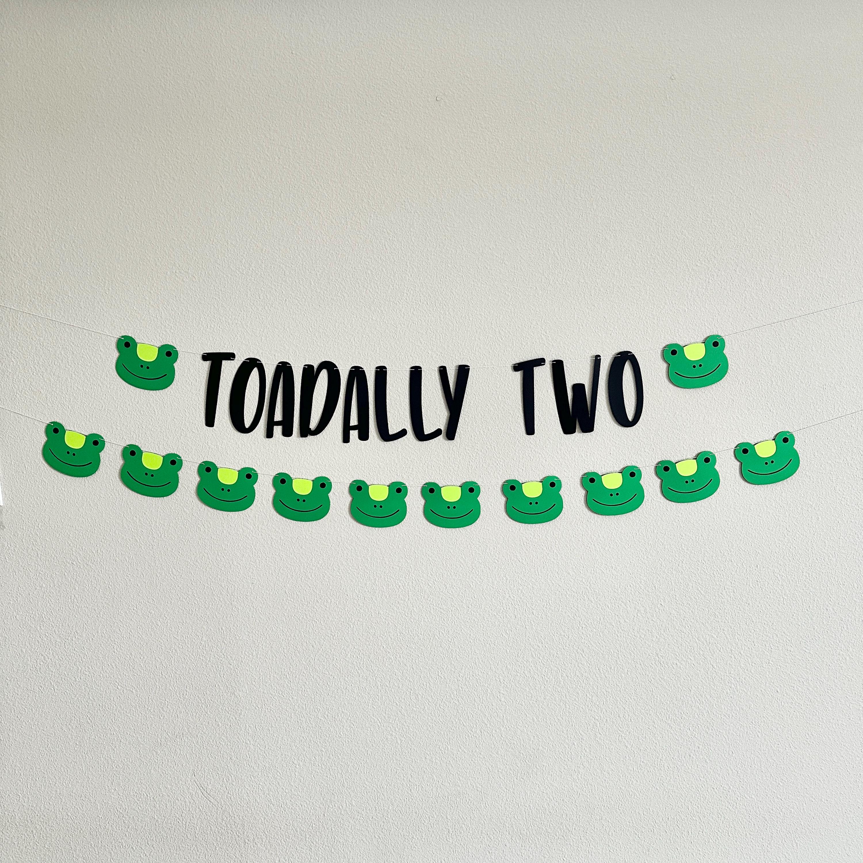 Toadally Two, Toad Themed 2nd Birthday Decorations, 2nd Birthday Ideas, Toad Birthday Party, Frog Birthday Party Decorations