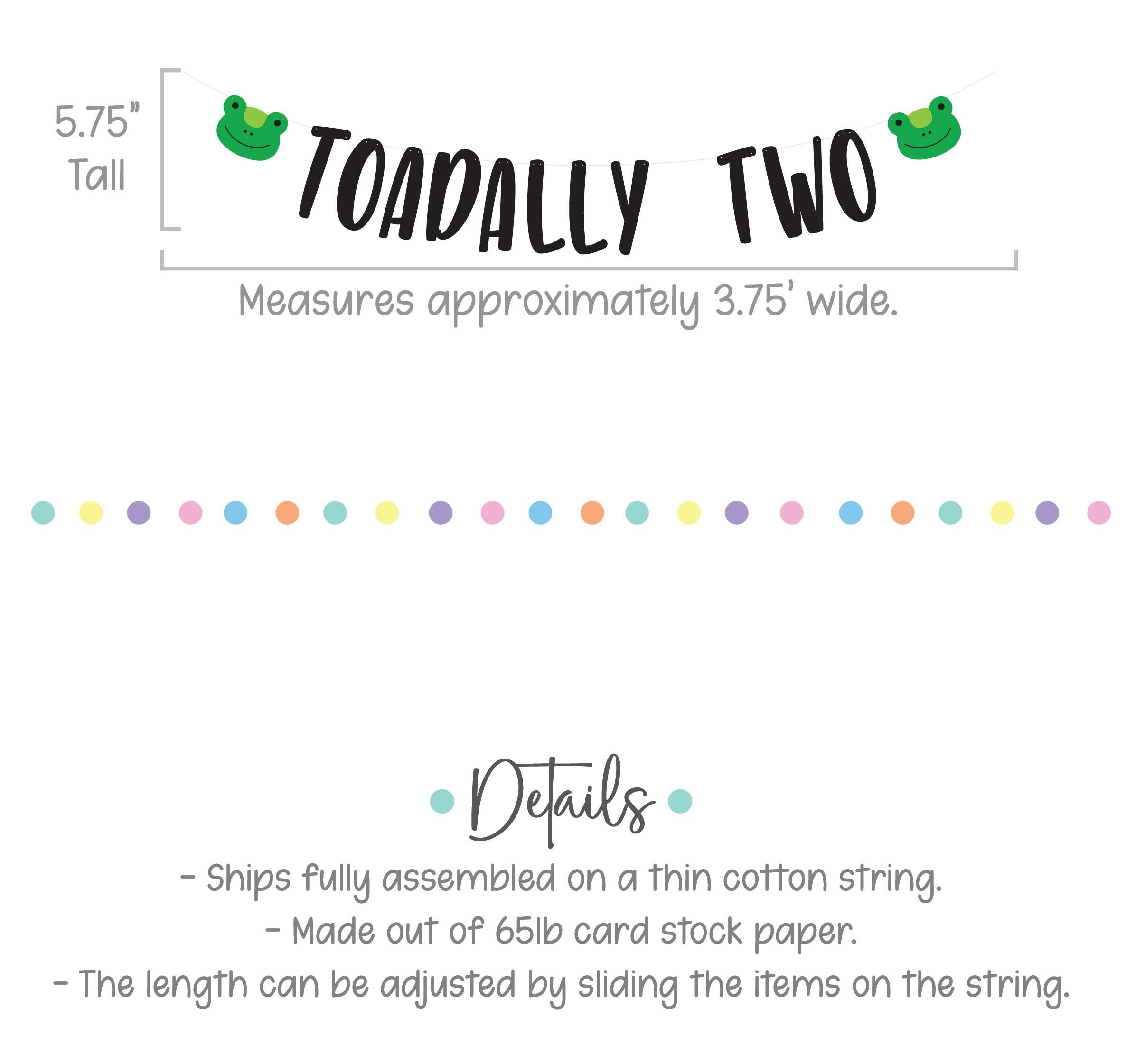 Toadally Two, Toad Themed 2nd Birthday Decorations, 2nd Birthday Ideas, Toad Birthday Party, Frog Birthday Party Decorations