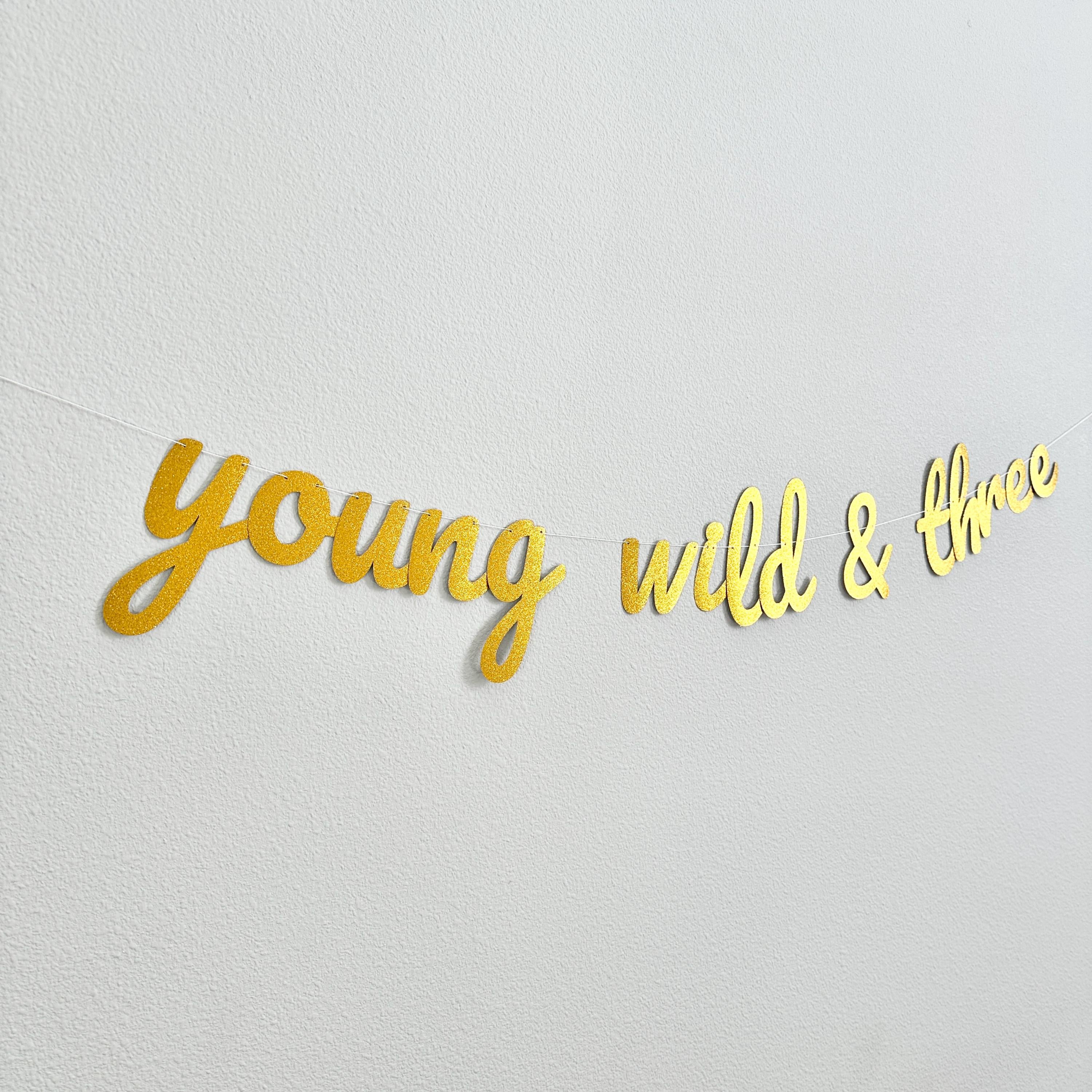 Young Wild & Three, Young Wild and Three Banner, 3rd Birthday Party, 3rd Birthday Banner, 3rd Birthday Party Decor, Gold 3rd Birthday Party