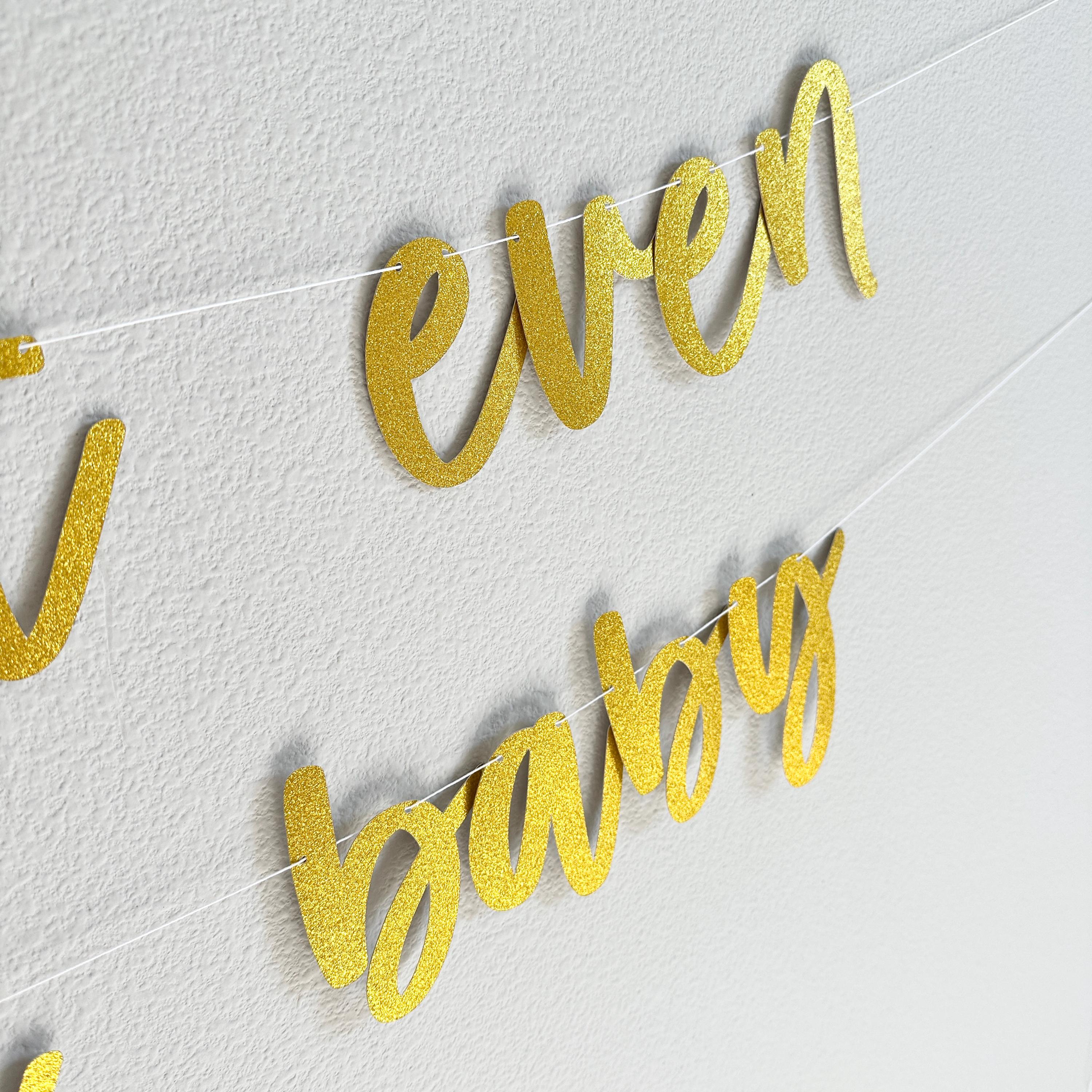 This Isn&#39;t Even Her First Baby, Baby Sprinkle Decorations, Baby Sprinkle Banner, Isn&#39;t Even Her First Baby Theme