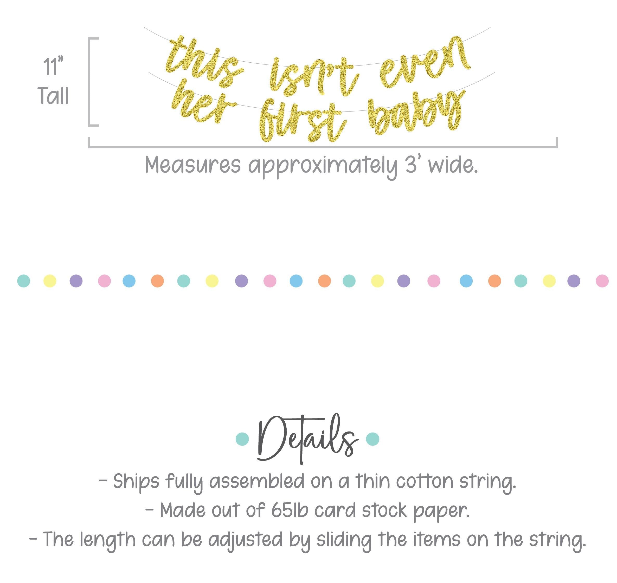 This Isn&#39;t Even Her First Baby, Baby Sprinkle Decorations, Baby Sprinkle Banner, Isn&#39;t Even Her First Baby Theme