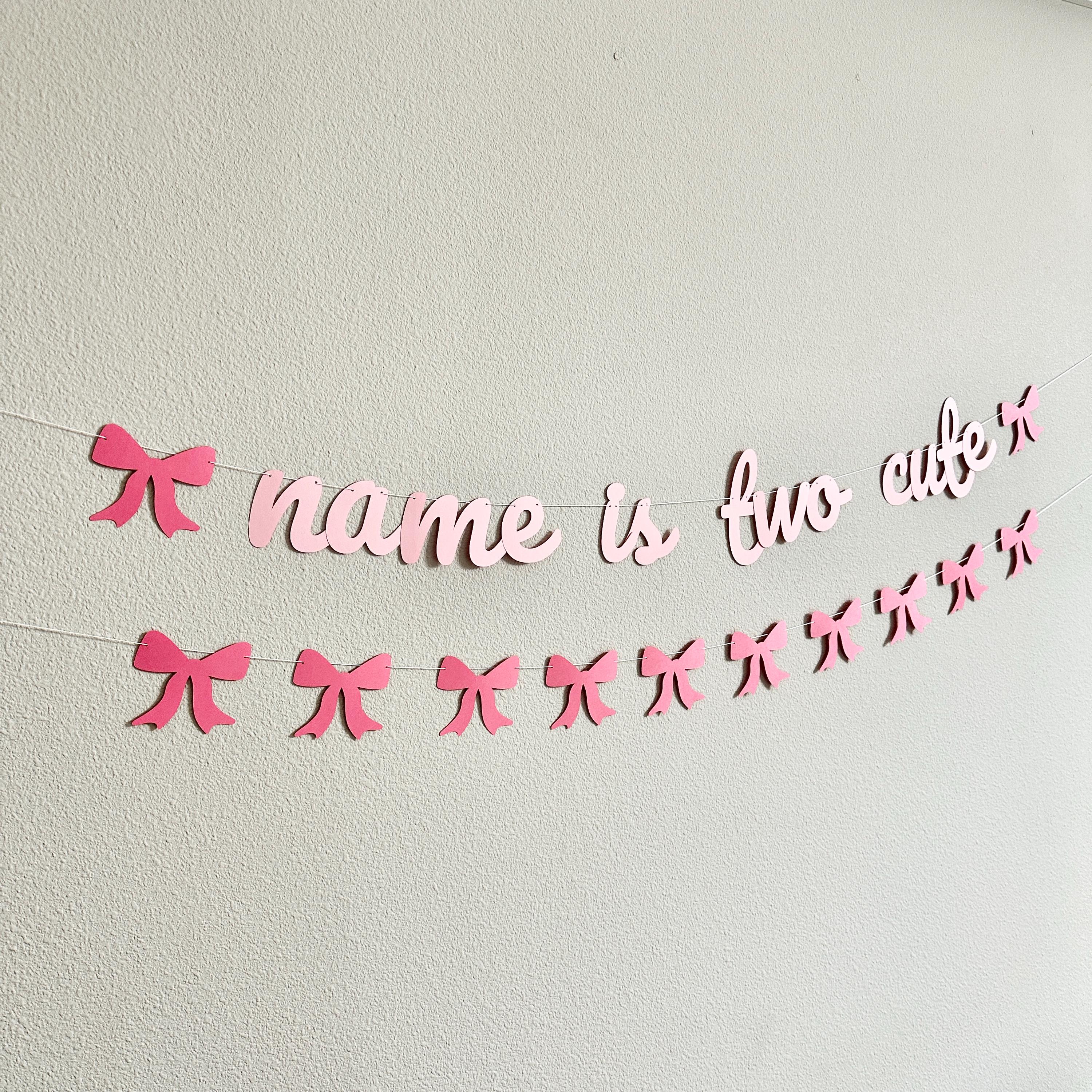 Name Is Two Cute, Two Cute Decorations, 2nd Birthday Party Banner, Coquette Themed 2nd Birthday Decorations, Two Cute