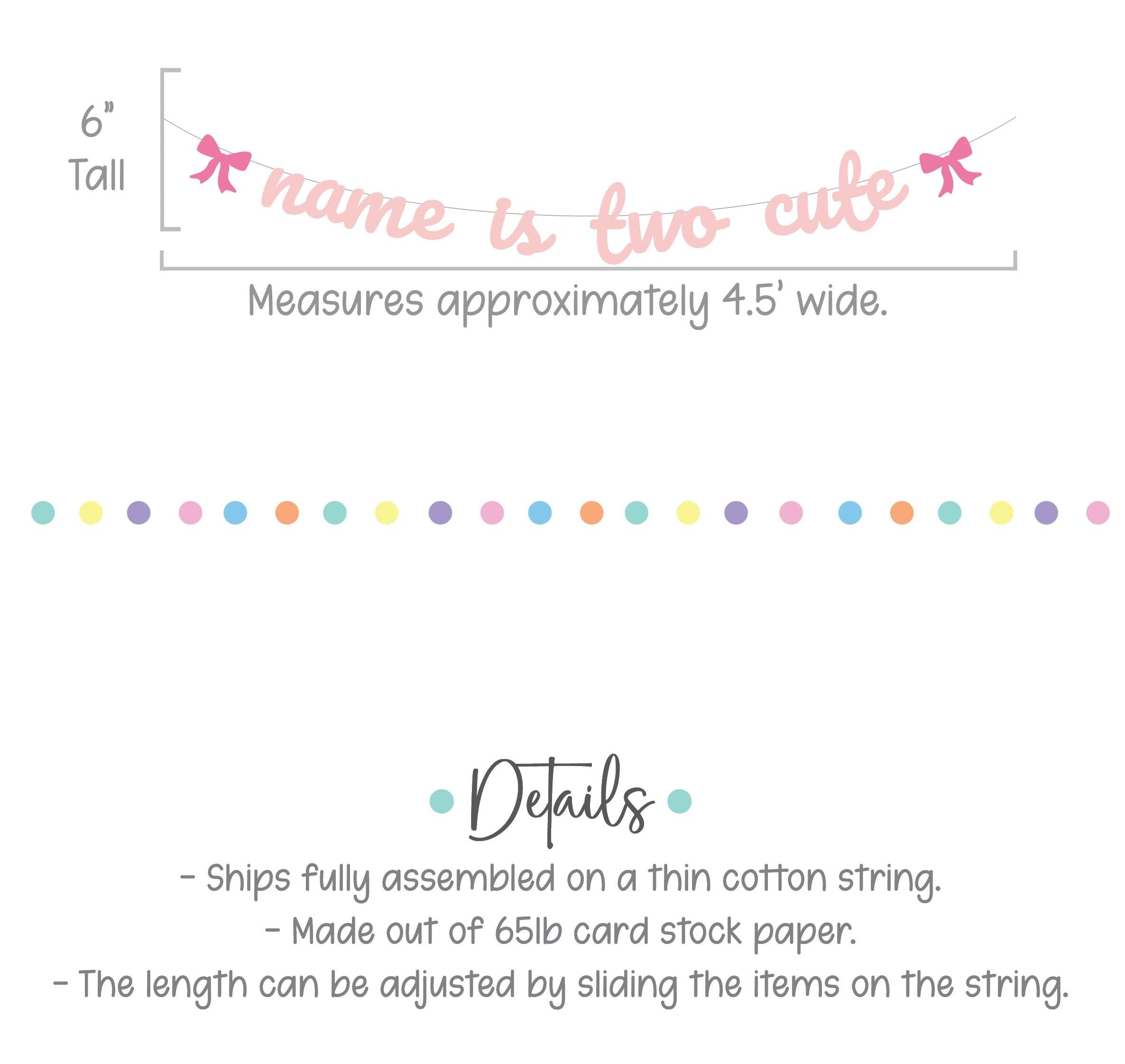 Name Is Two Cute, Two Cute Decorations, 2nd Birthday Party Banner, Coquette Themed 2nd Birthday Decorations, Two Cute