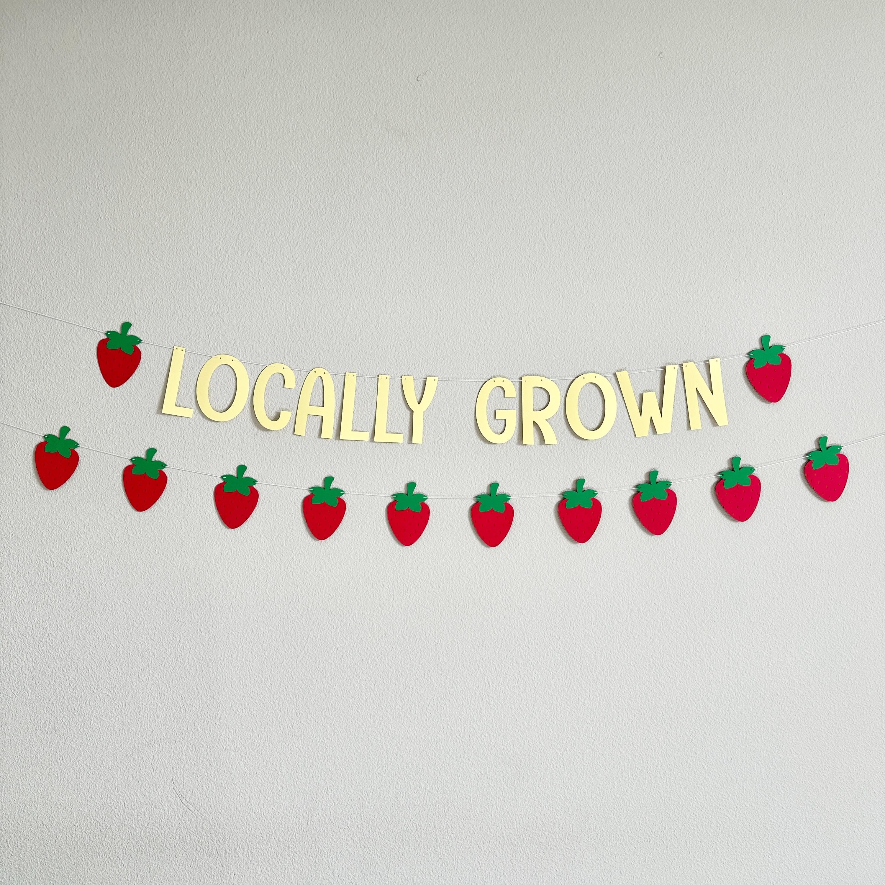 Locally Grown, Locally Grown Banner, Strawberry Theme, Farmer&#39;s Market Birthday Party Decorations, Locally Grown Baby Shower Decorations