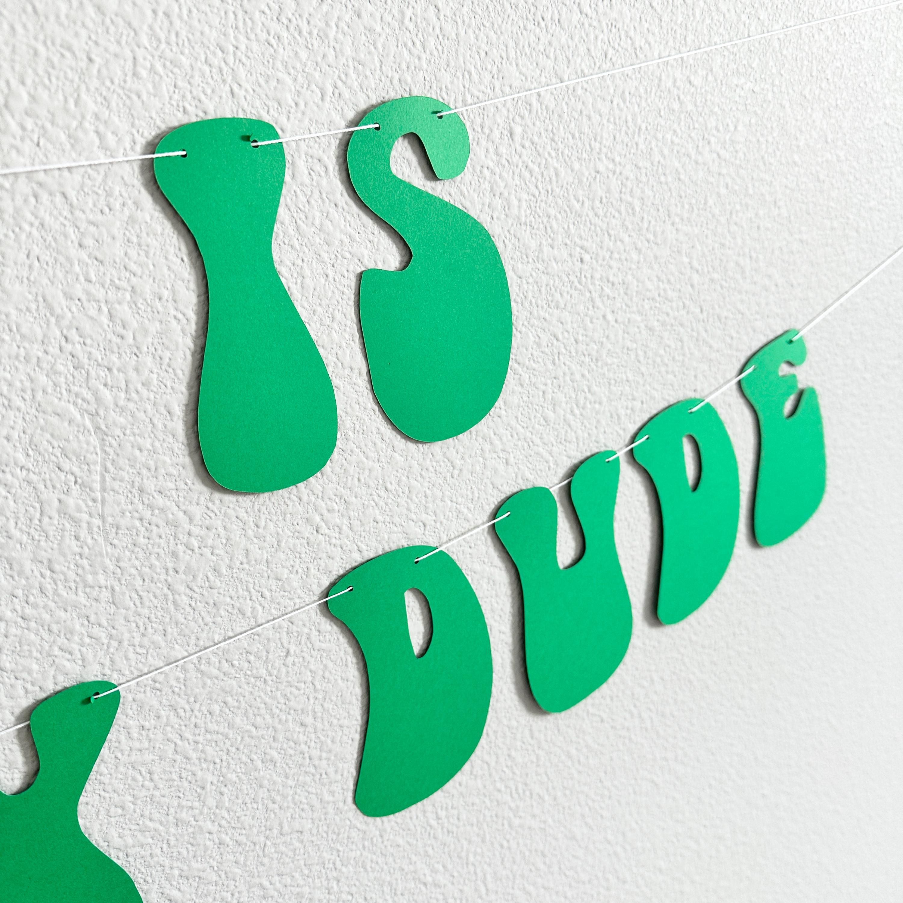 One Lucky Dude Banner, St. Patrick&#39;s Day Themed 1st Birthday, One Lucky Dude Decorations, Lucky Dude Birthday Theme