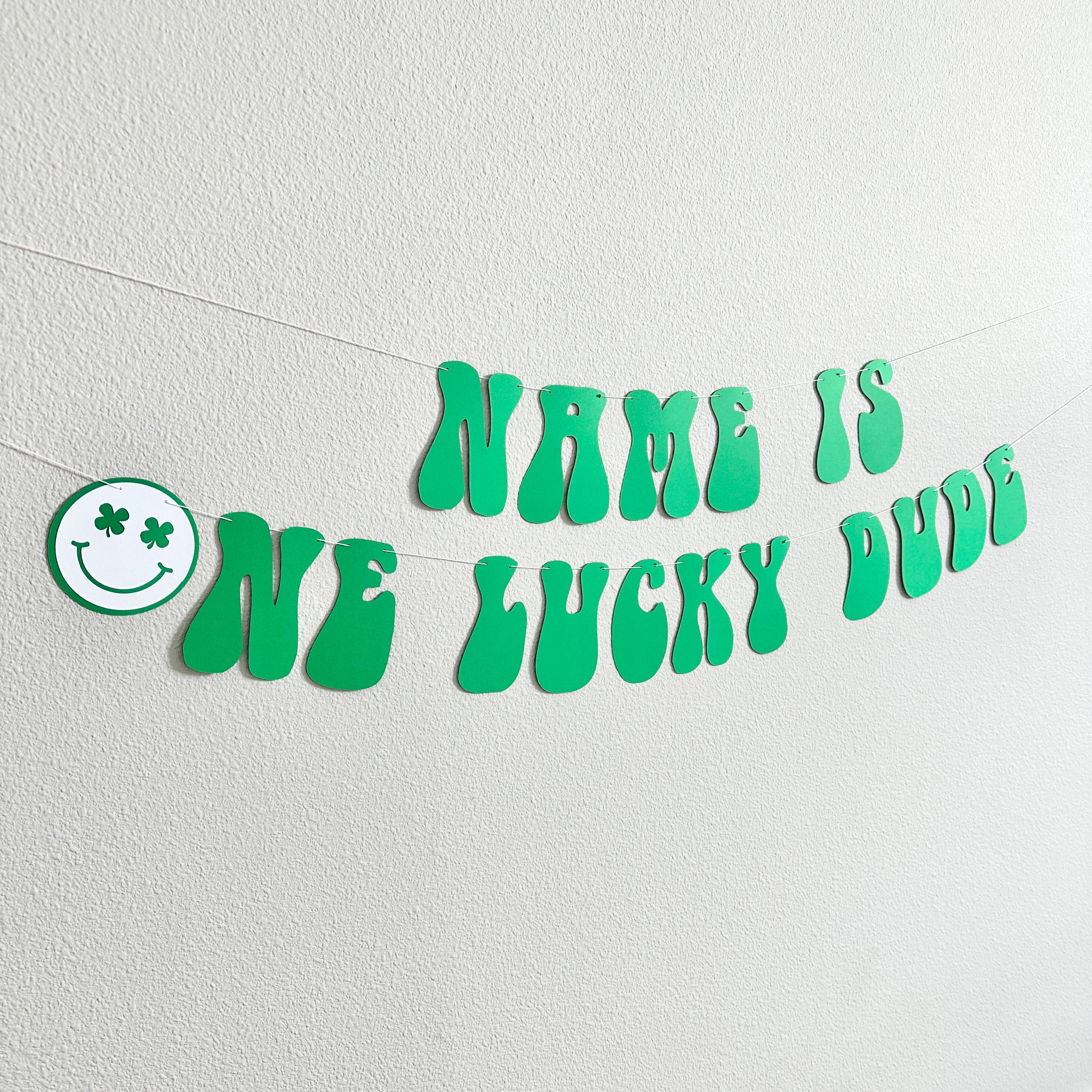 One Lucky Dude Banner, St. Patrick&#39;s Day Themed 1st Birthday, One Lucky Dude Decorations, Lucky Dude Birthday Theme