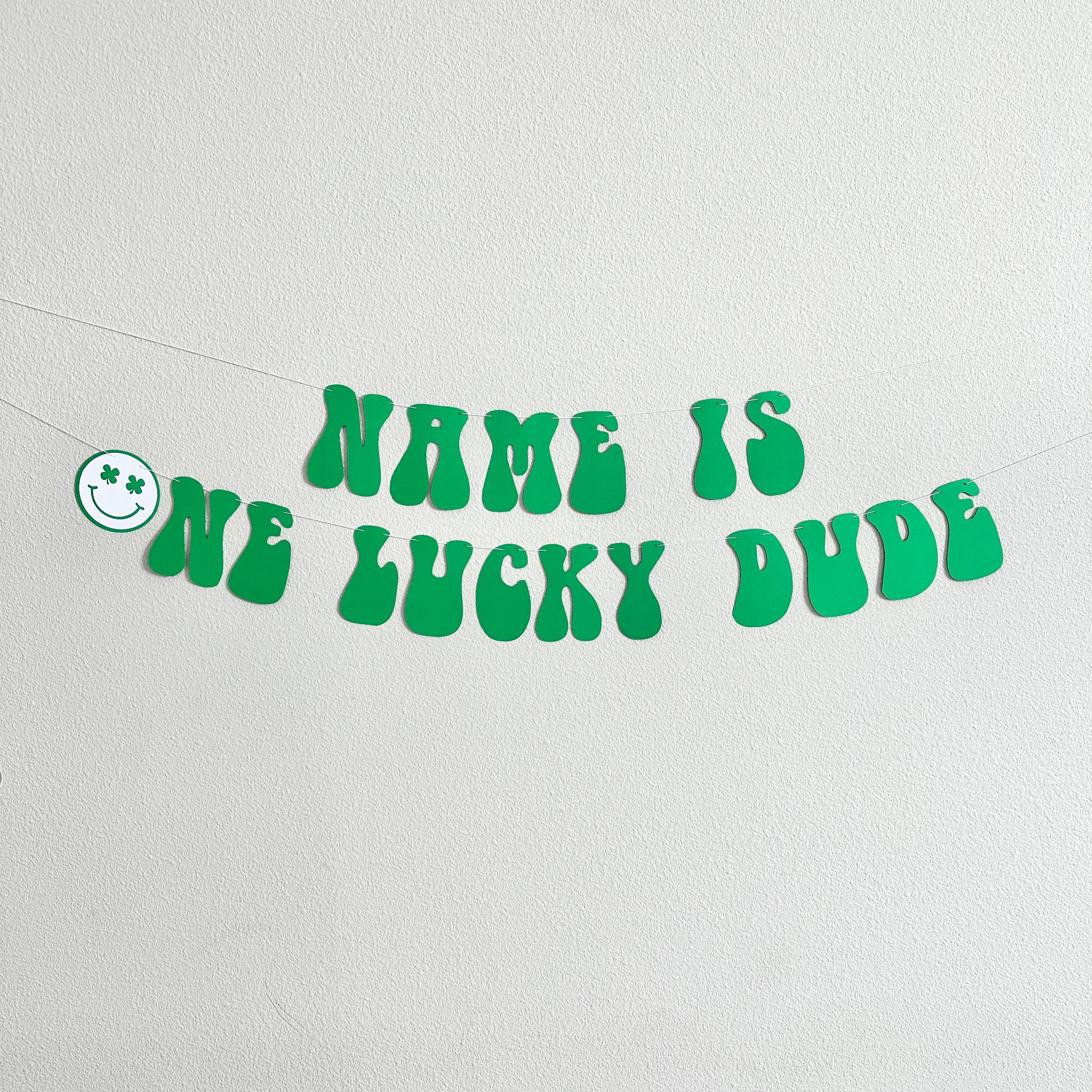 One Lucky Dude Banner, St. Patrick&#39;s Day Themed 1st Birthday, One Lucky Dude Decorations, Lucky Dude Birthday Theme