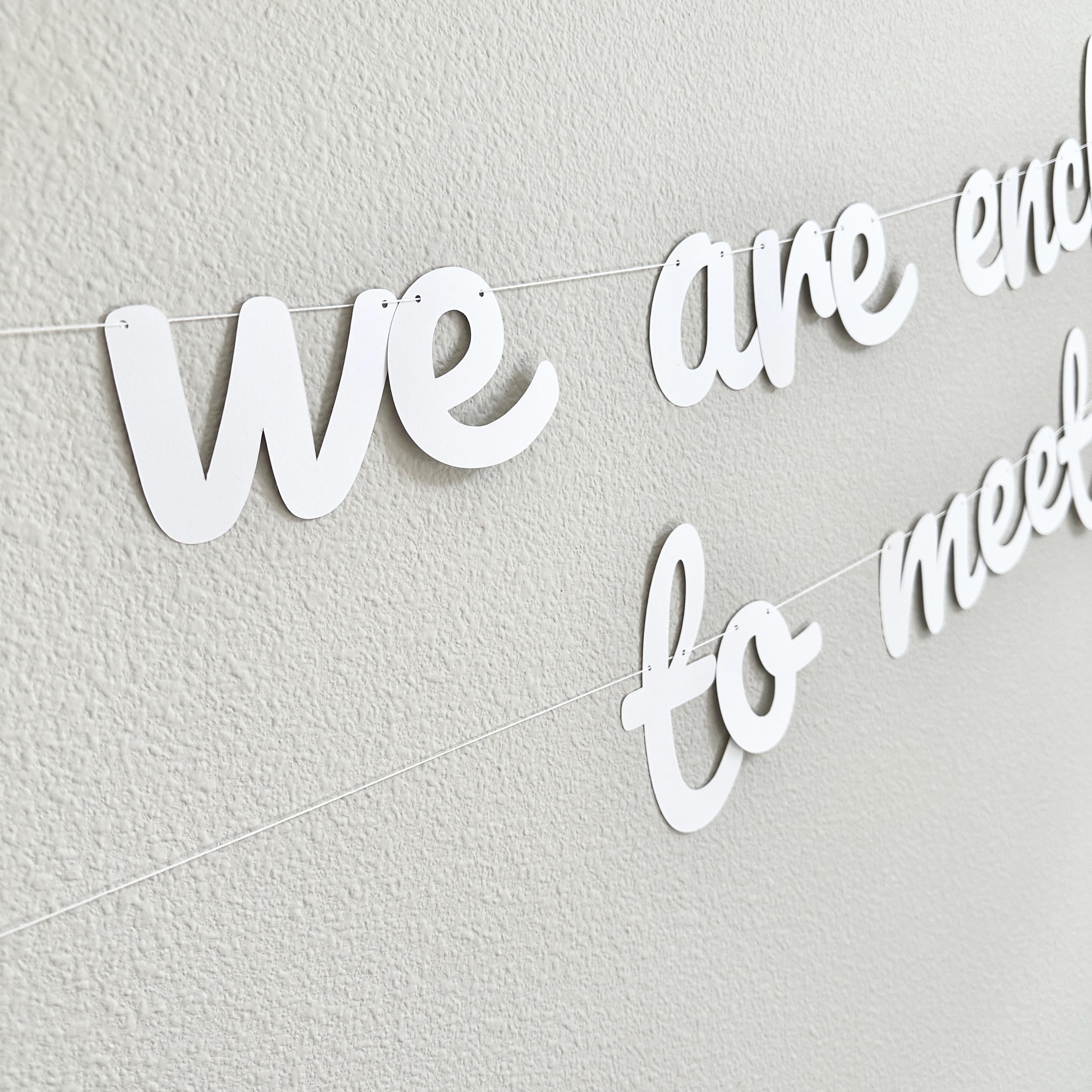 We Are Enchanted To Meet You, Baby Shower Banner, Baby Shower Ideas, Cursive Baby Shower Banner, Enchanted Baby Shower Theme