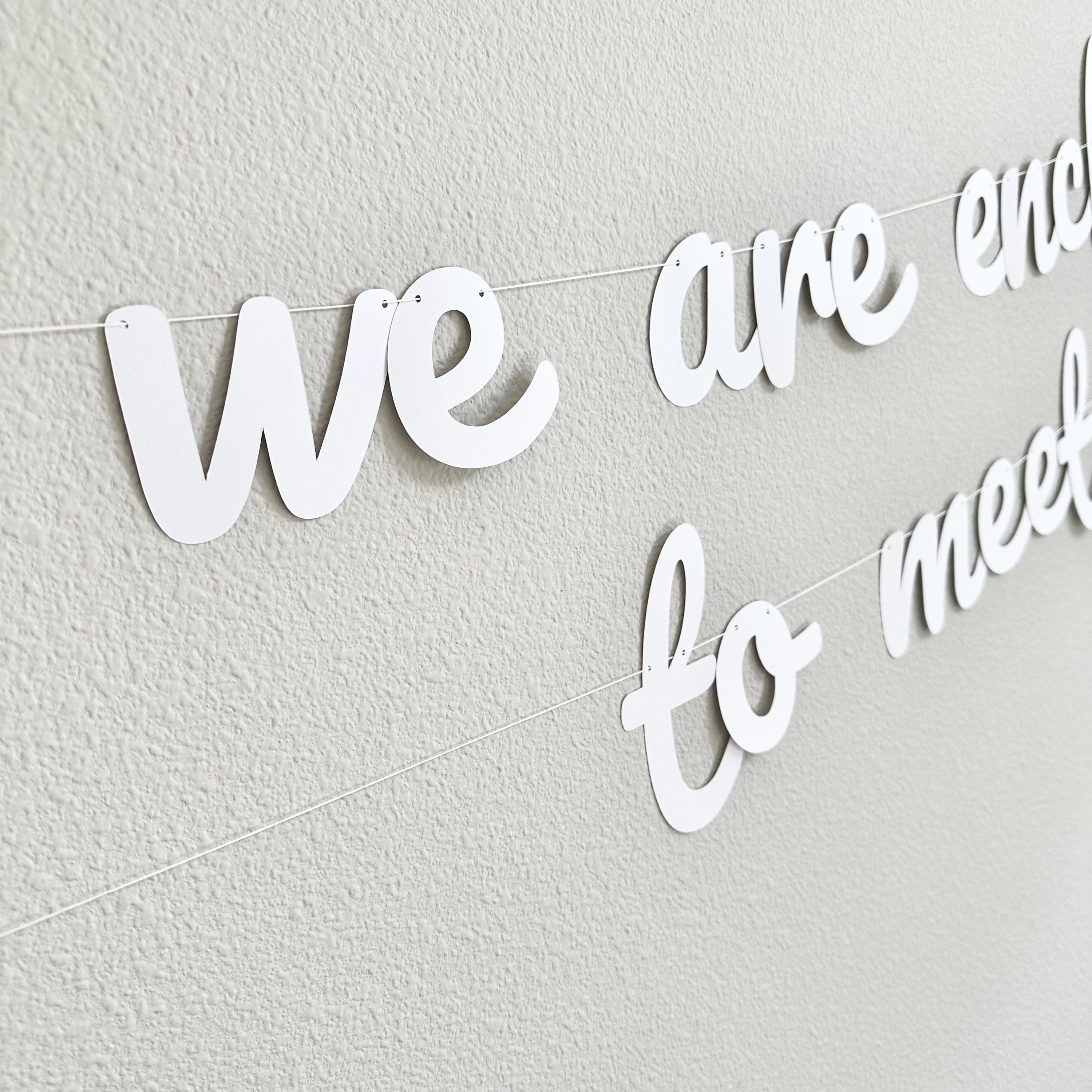 We Are Enchanted To Meet You, Baby Shower Banner, Baby Shower Ideas, Cursive Baby Shower Banner, Enchanted Baby Shower Theme