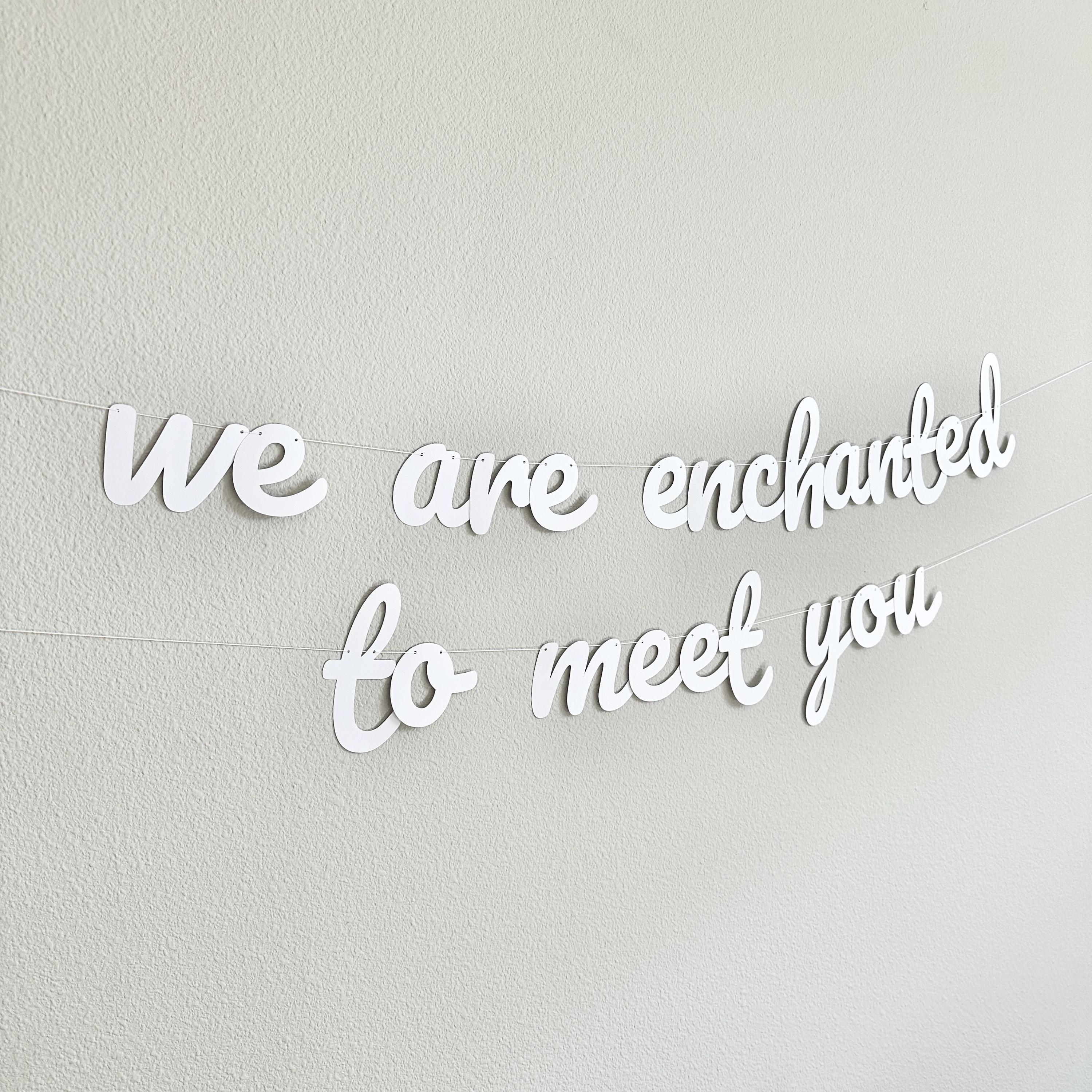 We Are Enchanted To Meet You, Baby Shower Banner, Baby Shower Ideas, Cursive Baby Shower Banner, Enchanted Baby Shower Theme