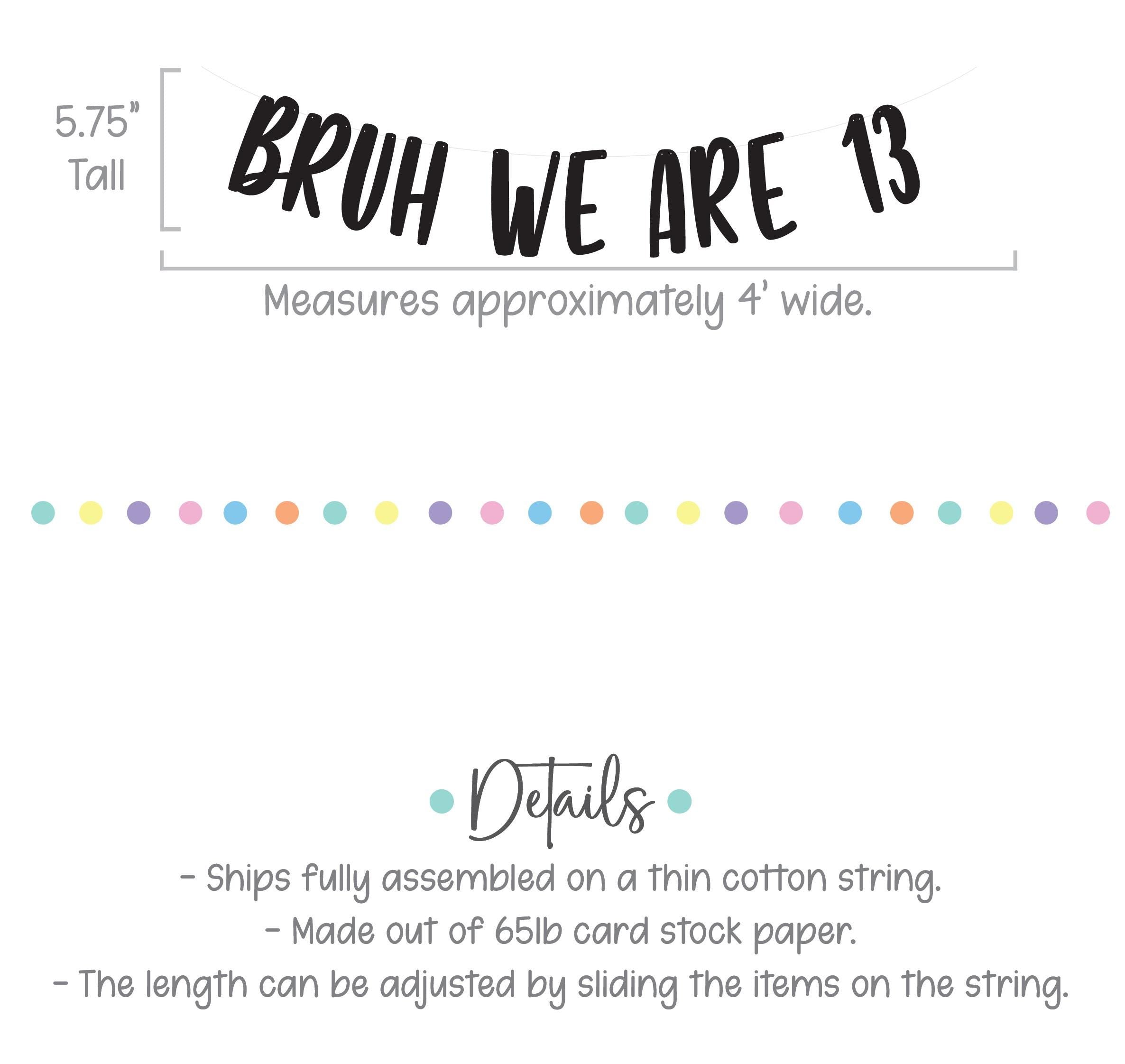 Bruh We Are 13, Twins 13th Birthday Banner, Thirteenth Birthday Decorations, Bruh We&#39;re 13 Banner, 13th Birthday Ideas, Boys 13th Birthday