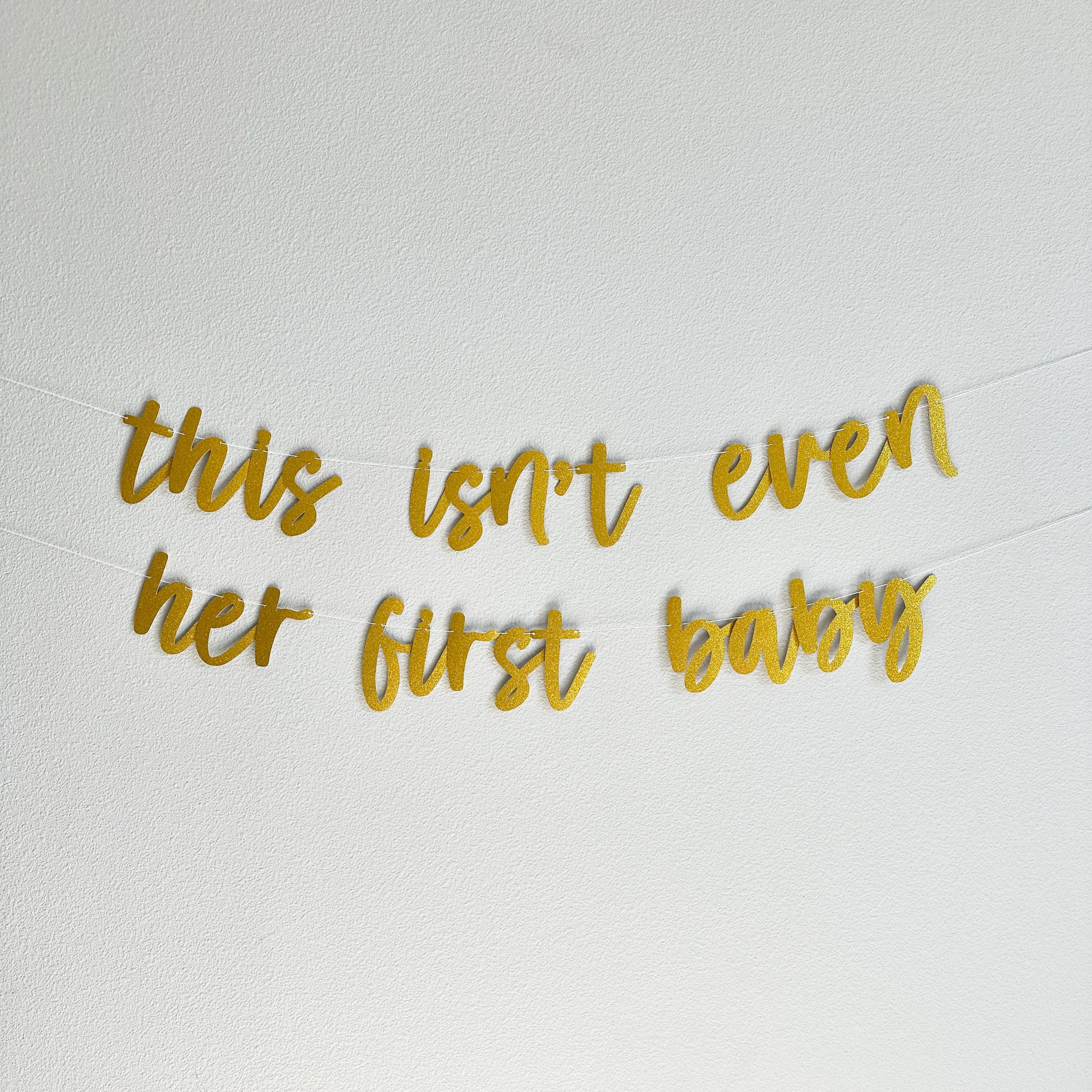 This Isn&#39;t Even Her First Baby, Baby Sprinkle Decorations, Baby Sprinkle Banner, Isn&#39;t Even Her First Baby Theme