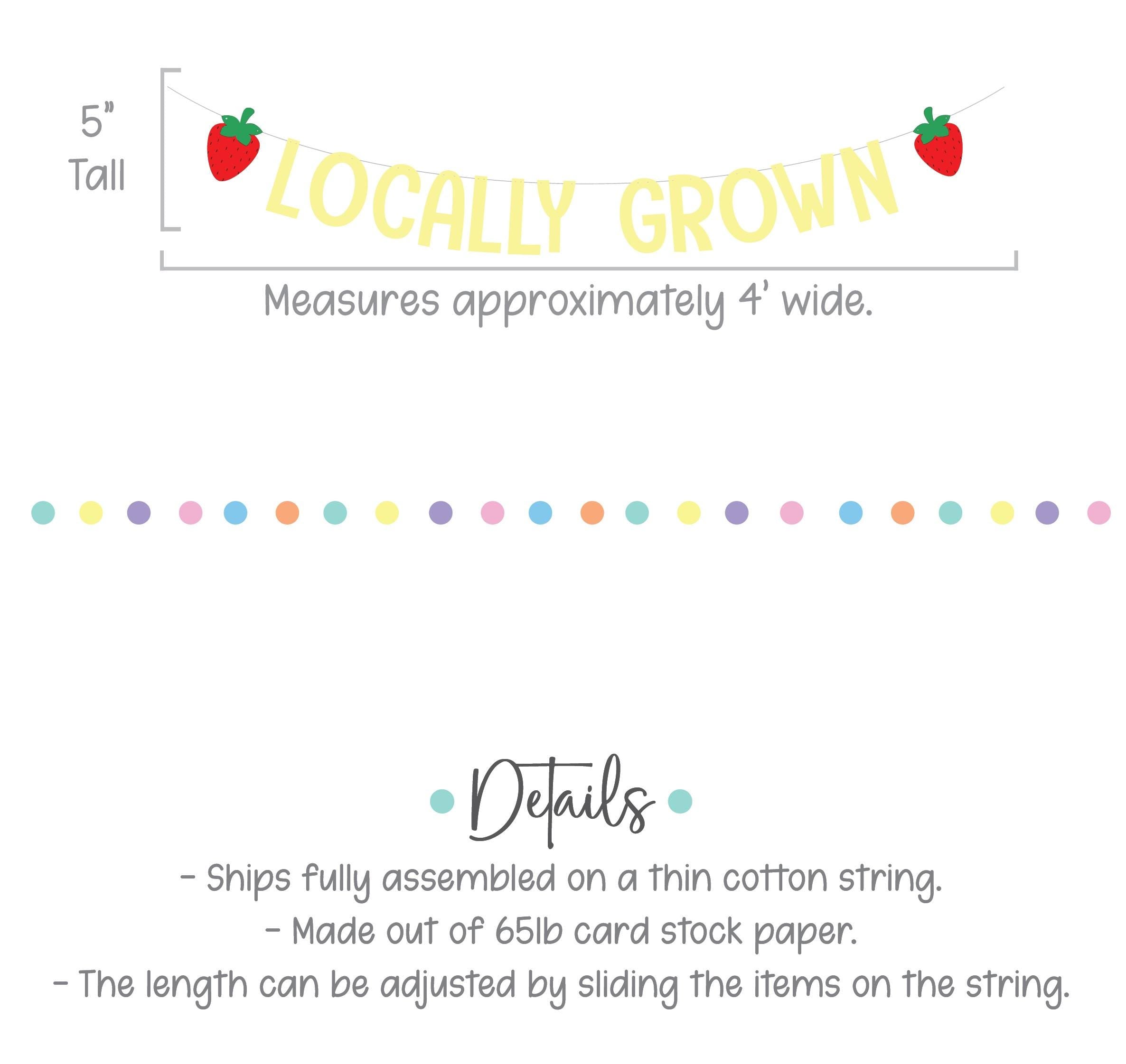 Locally Grown, Locally Grown Banner, Strawberry Theme, Farmer&#39;s Market Birthday Party Decorations, Locally Grown Baby Shower Decorations