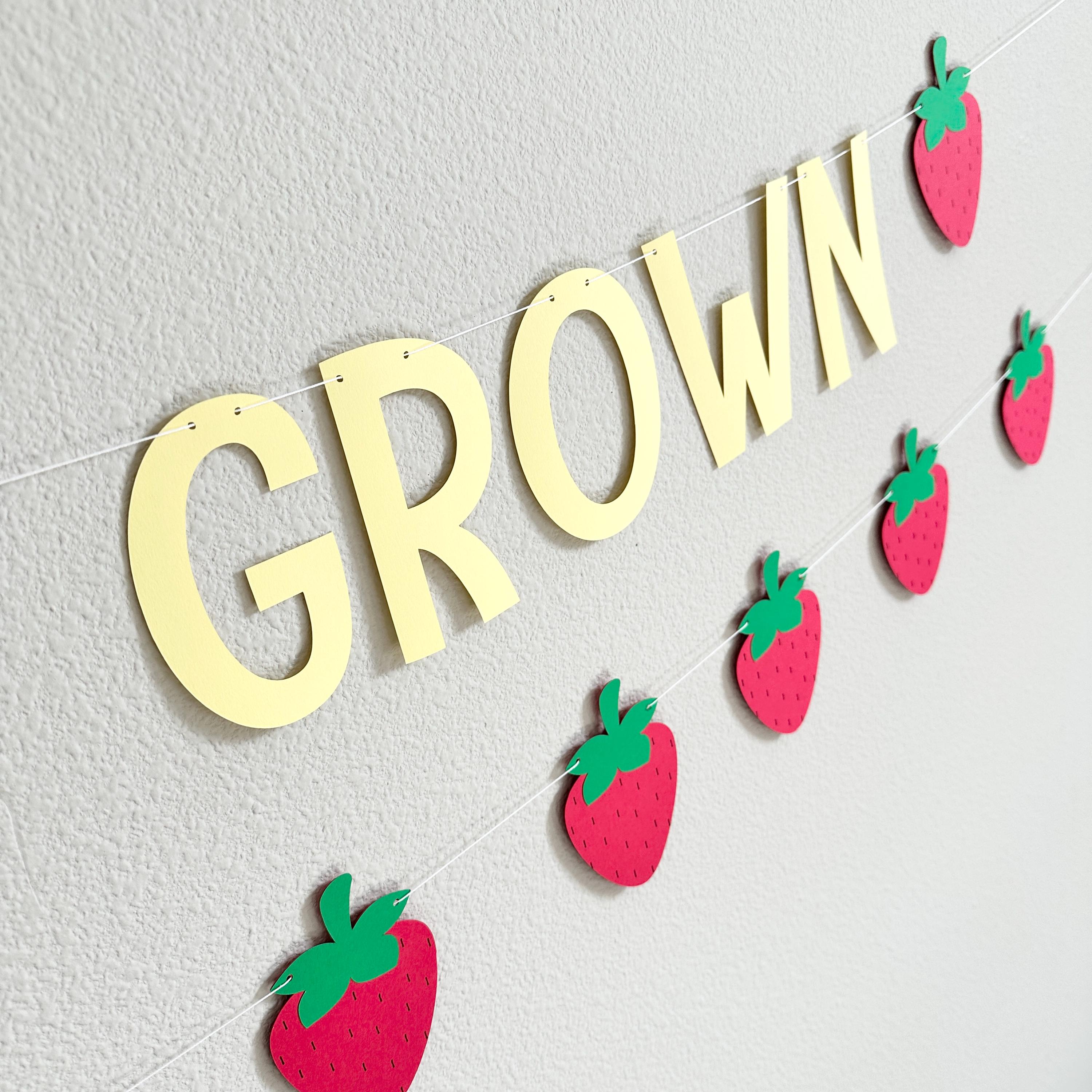 Locally Grown, Locally Grown Banner, Strawberry Theme, Farmer&#39;s Market Birthday Party Decorations, Locally Grown Baby Shower Decorations