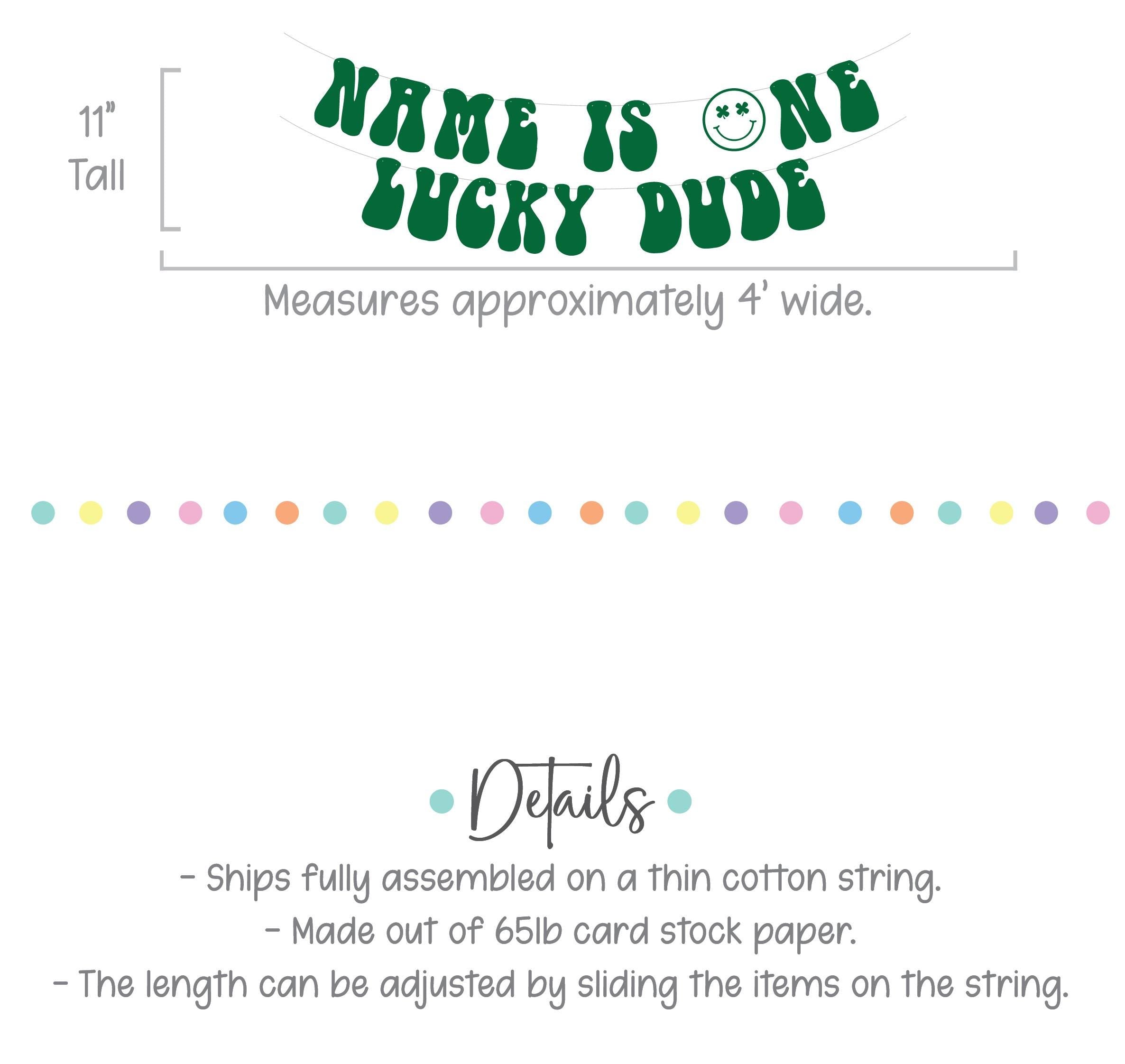 One Lucky Dude Banner, St. Patrick&#39;s Day Themed 1st Birthday, One Lucky Dude Decorations, Lucky Dude Birthday Theme