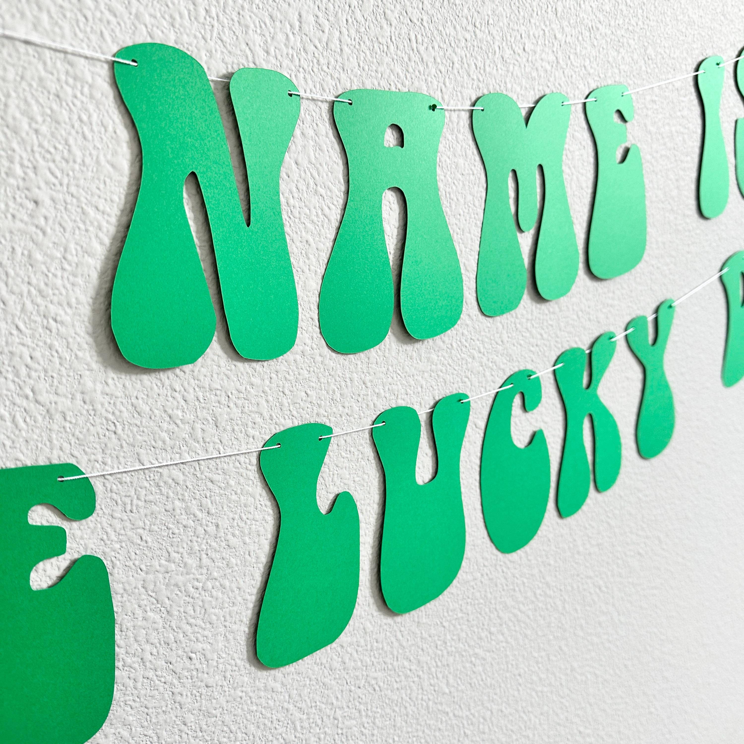 One Lucky Dude Banner, St. Patrick&#39;s Day Themed 1st Birthday, One Lucky Dude Decorations, Lucky Dude Birthday Theme