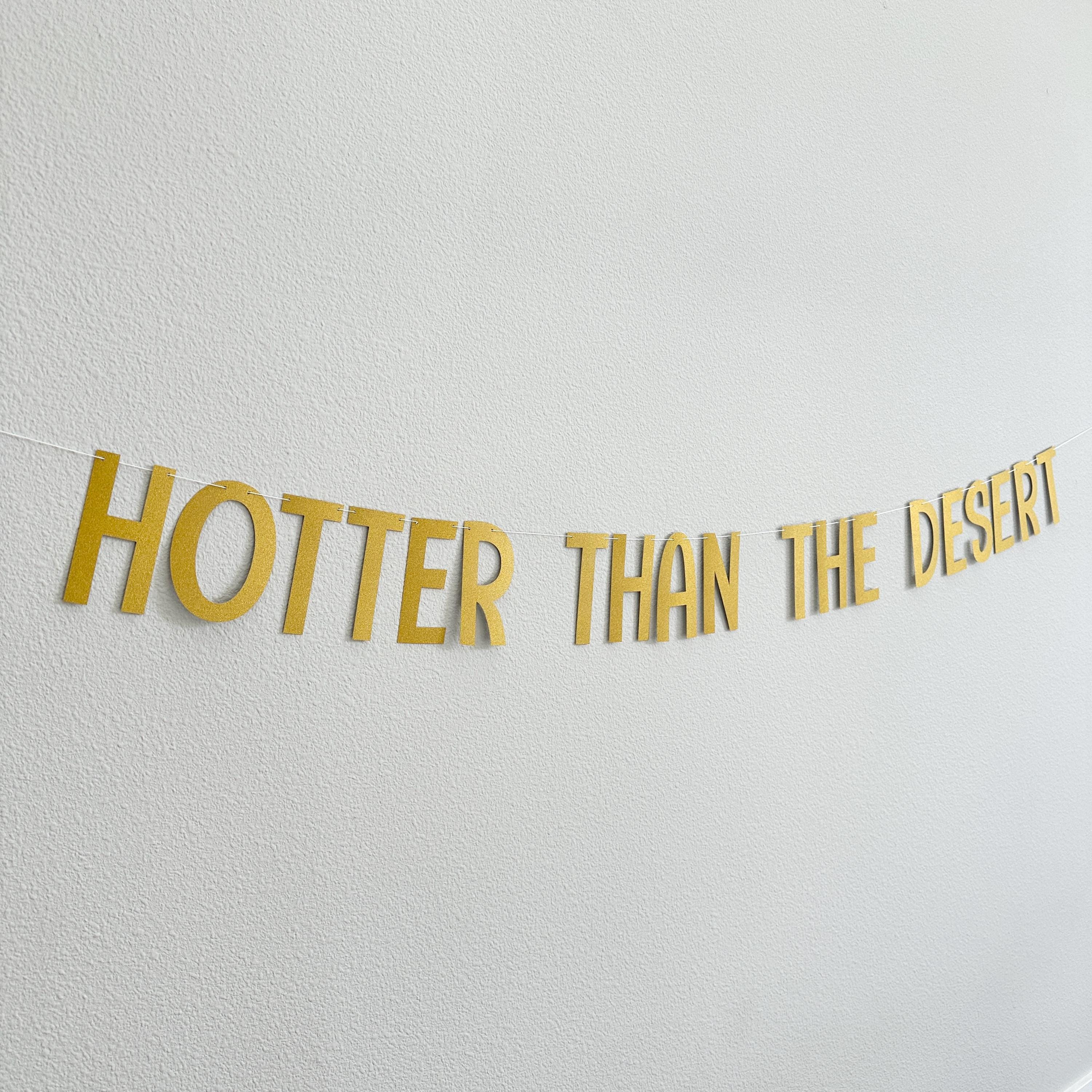 Hotter Than The Desert, Hotter Than The Desert Banner, Hotter Than The Desert Decorations, Bachelorette Party Theme Ideas, Bachelorette