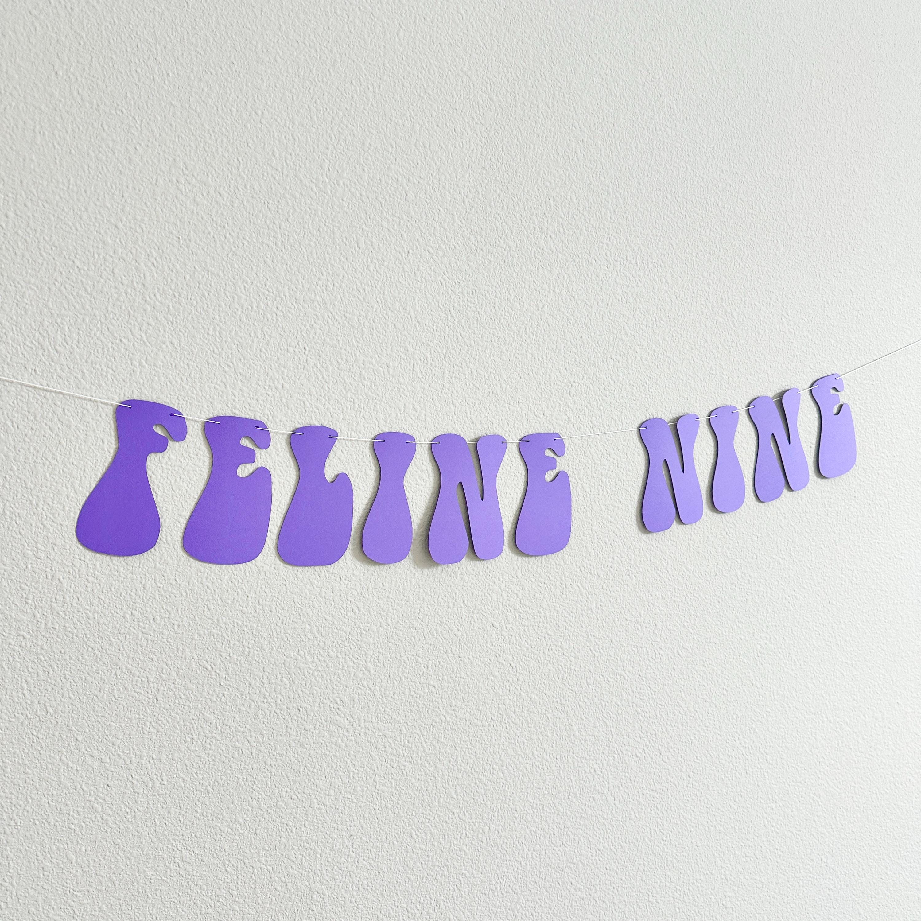 Feline Nine, 9th Birthday Party Decorations, Cat Themed 9th Birthday Party Banner, Cat Lovers 9th Birthday Party Ideas