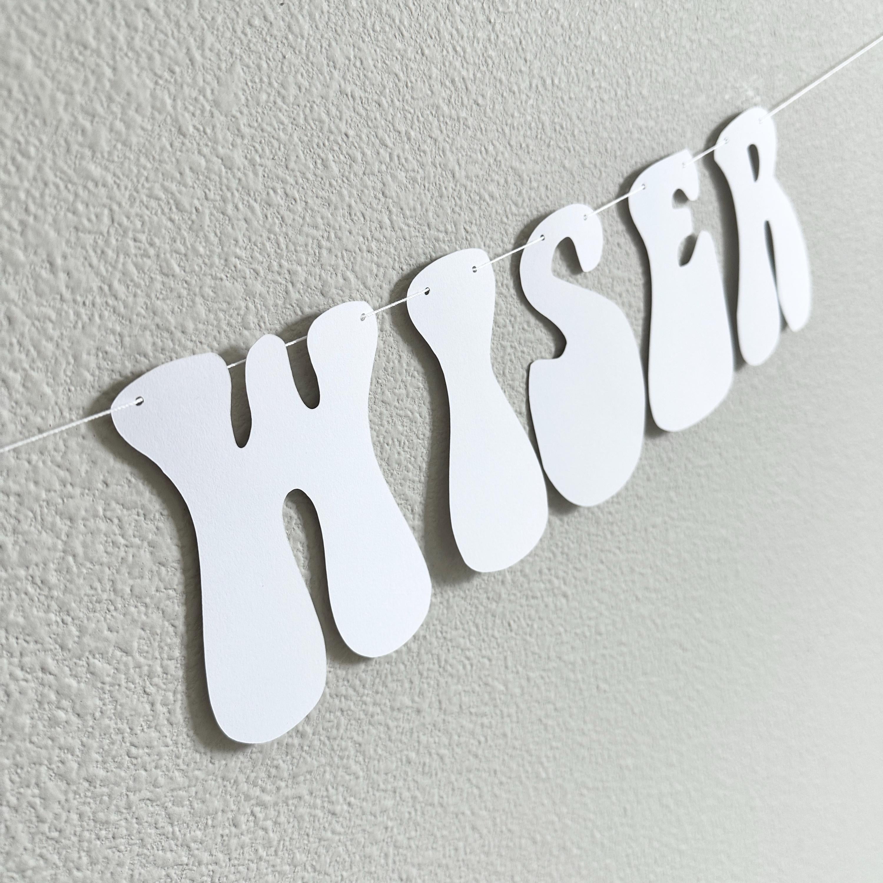 Older Hotter Wiser, Women&#39;s Birthday Ideas, Funny Birthday Banner, Grandma Birthday Party Decorations, Retro Themed Birthday Decorations