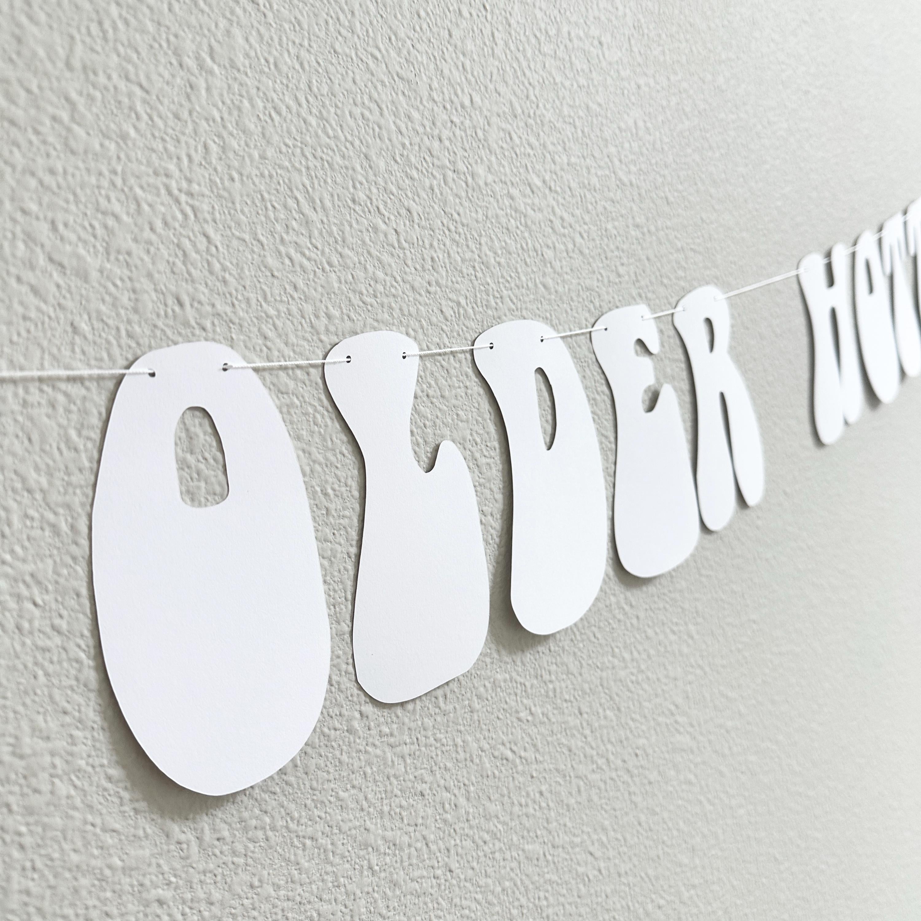 Older Hotter Wiser, Women&#39;s Birthday Ideas, Funny Birthday Banner, Grandma Birthday Party Decorations, Retro Themed Birthday Decorations