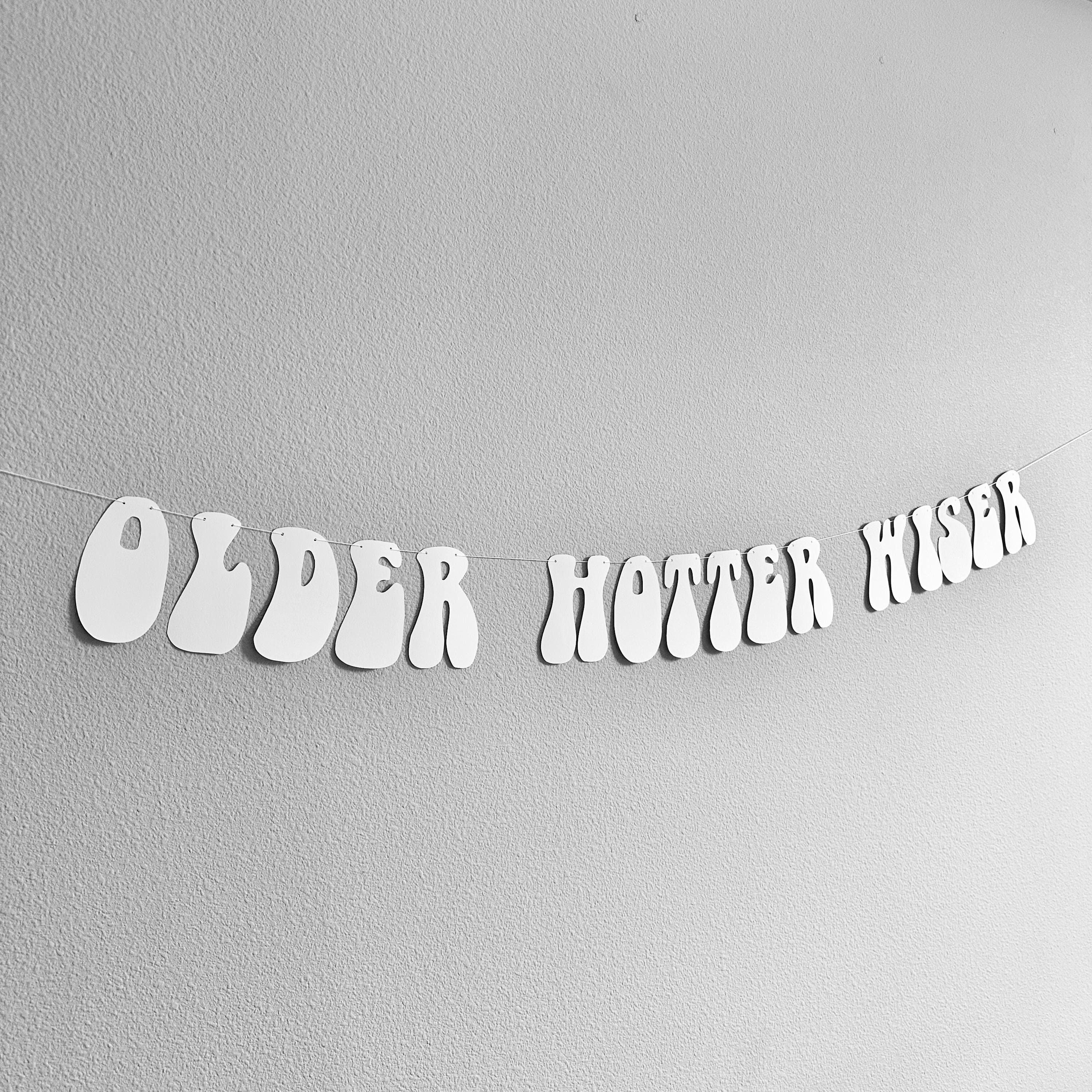 Older Hotter Wiser, Women&#39;s Birthday Ideas, Funny Birthday Banner, Grandma Birthday Party Decorations, Retro Themed Birthday Decorations