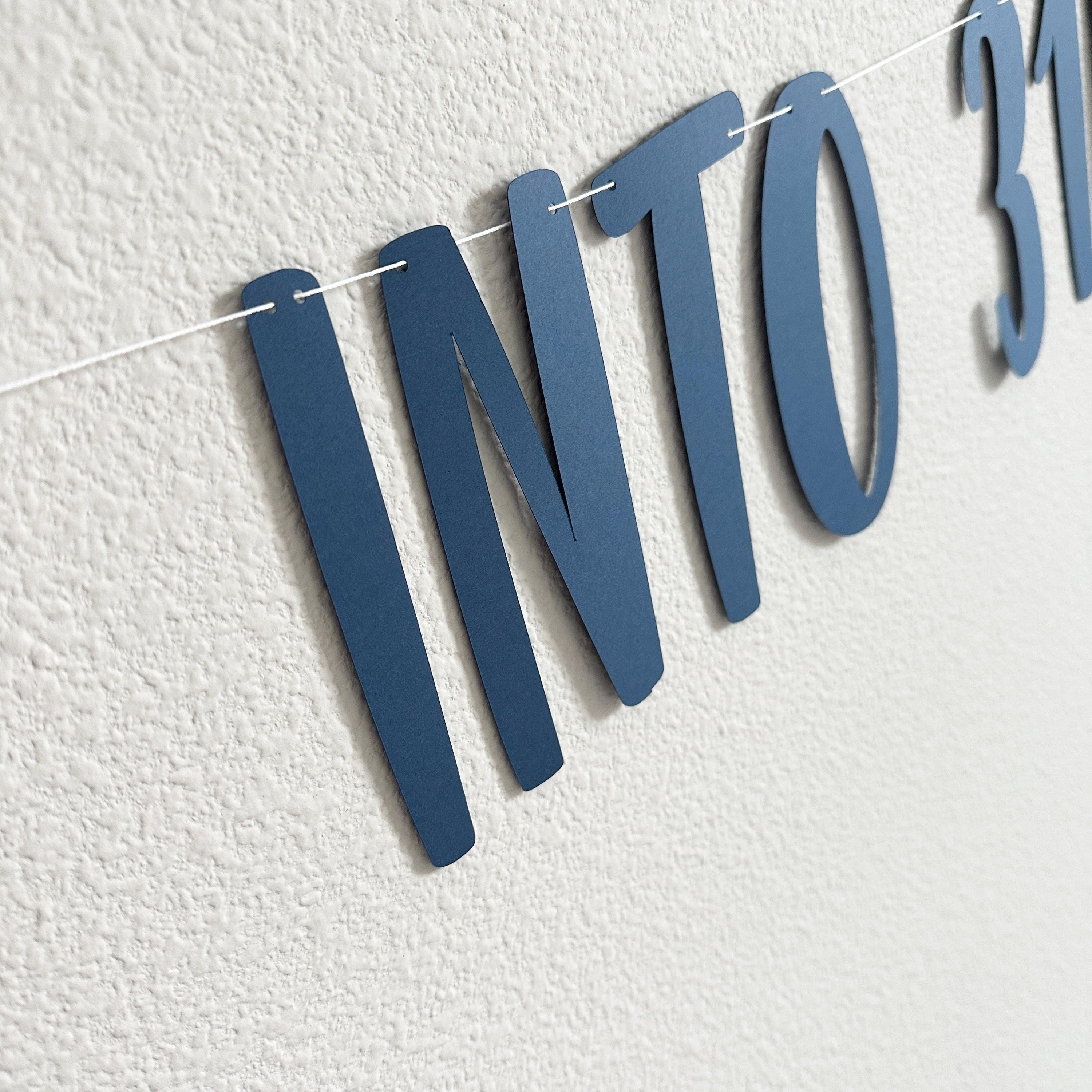 Casting Off Into 31!, 31st Birthday Banner, 31st Birthday Decorations, Fishing Themed Birthday Banner, Thirty One