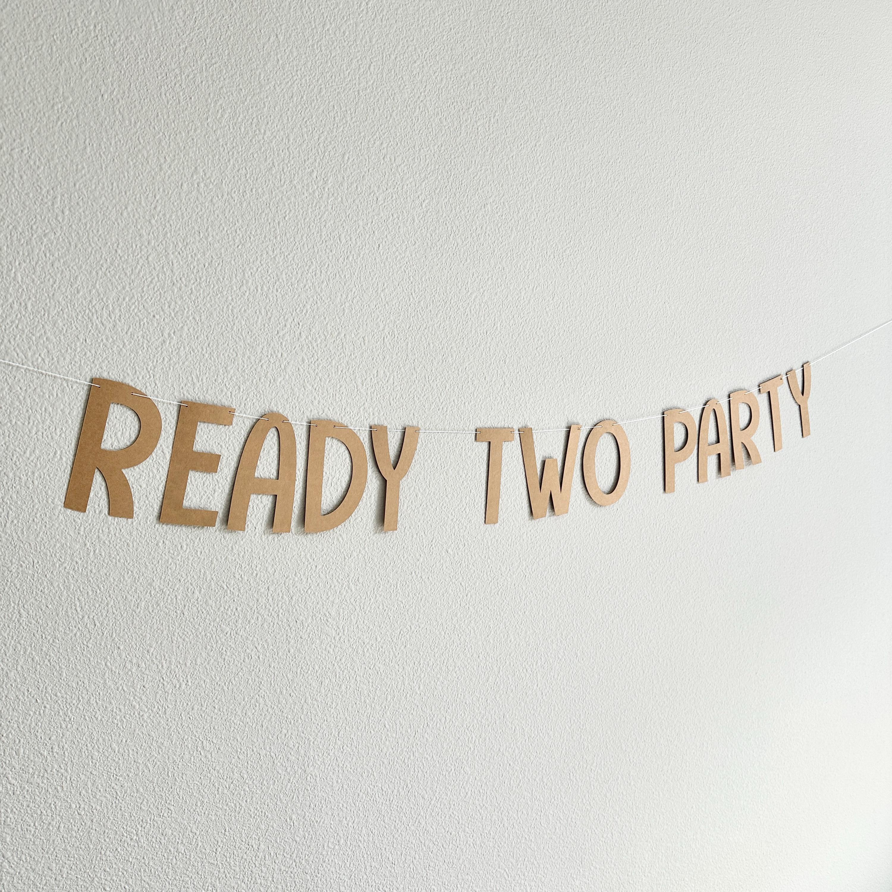Ready Two Party Banner, 2nd Birthday Party Decorations, 2nd Birthday Theme Ideas, Second Birthday Party Banner, 2nd Birthday