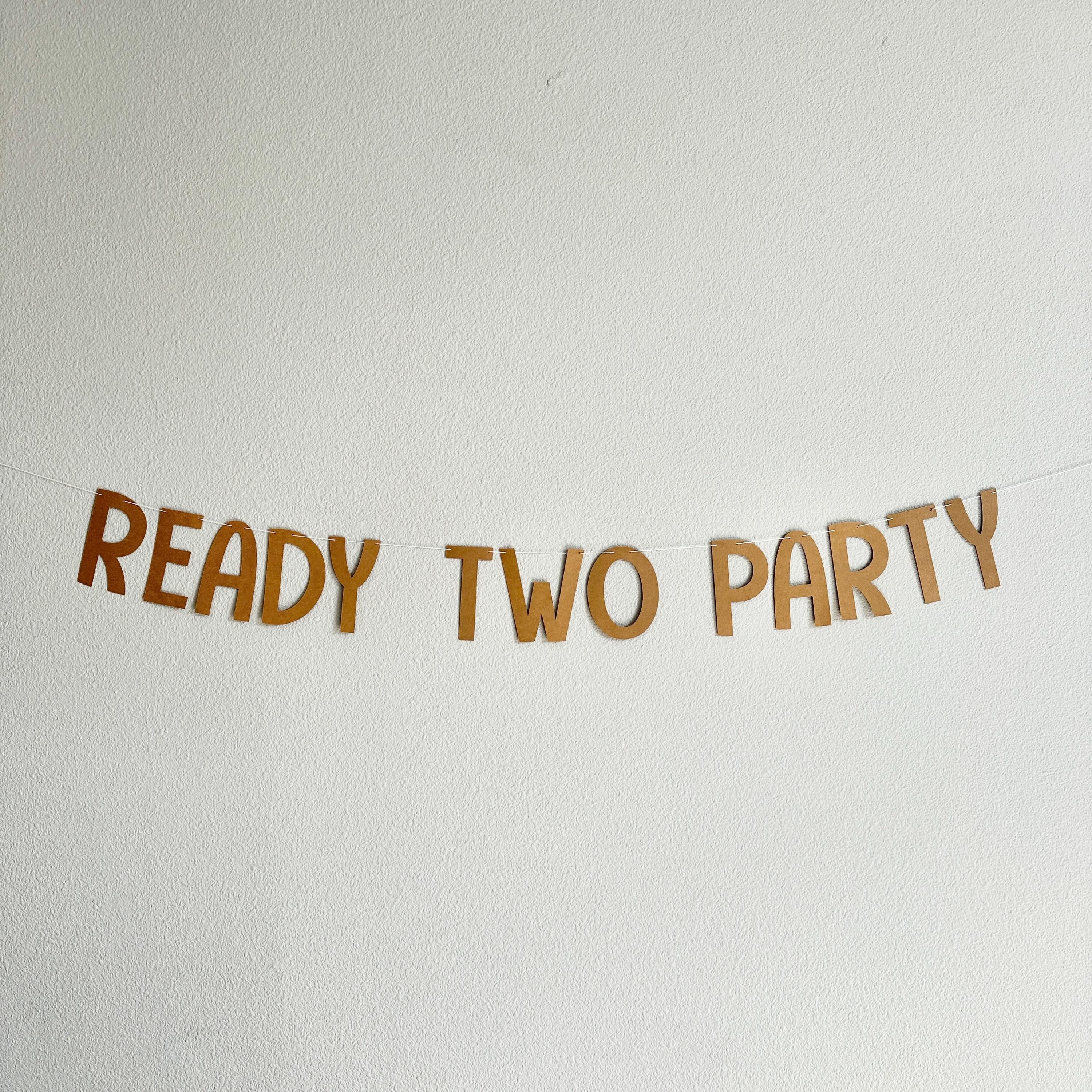 Ready Two Party Banner, 2nd Birthday Party Decorations, 2nd Birthday Theme Ideas, Second Birthday Party Banner, 2nd Birthday