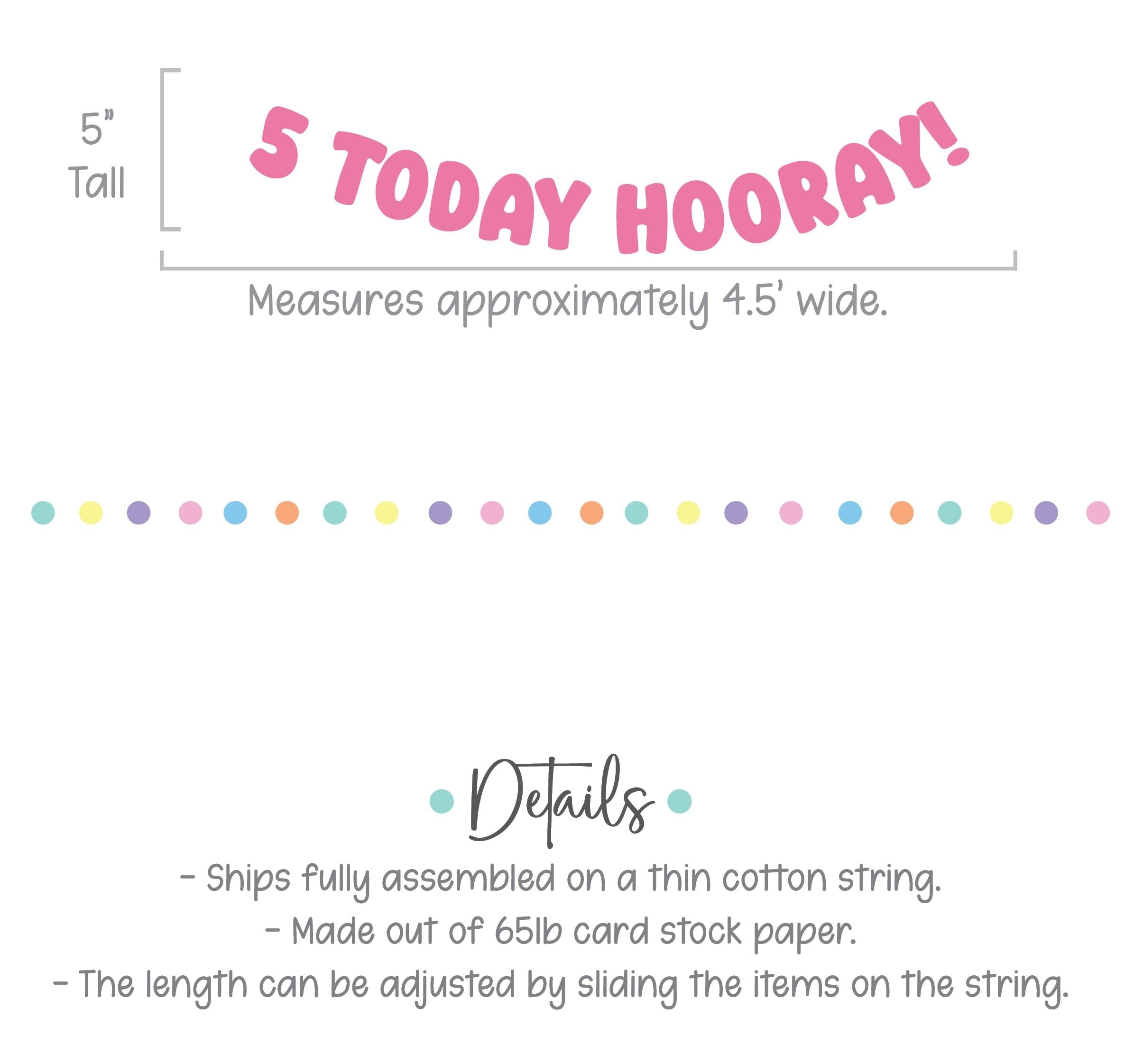 5 Today Hooray!, 5th Birthday Banner, 5th Birthday Party Decorations, 5th Birthday Party Ideas, Bold Birthday Banner, Pink Birthday Party