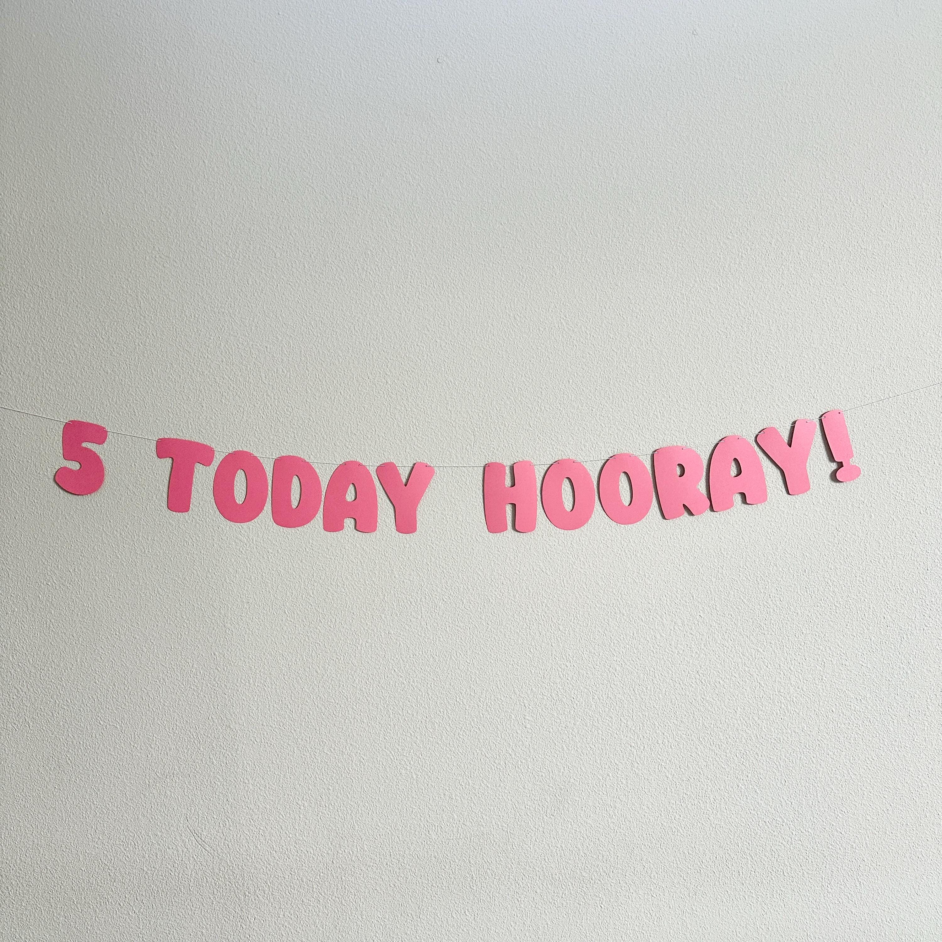 5 Today Hooray!, 5th Birthday Banner, 5th Birthday Party Decorations, 5th Birthday Party Ideas, Bold Birthday Banner, Pink Birthday Party