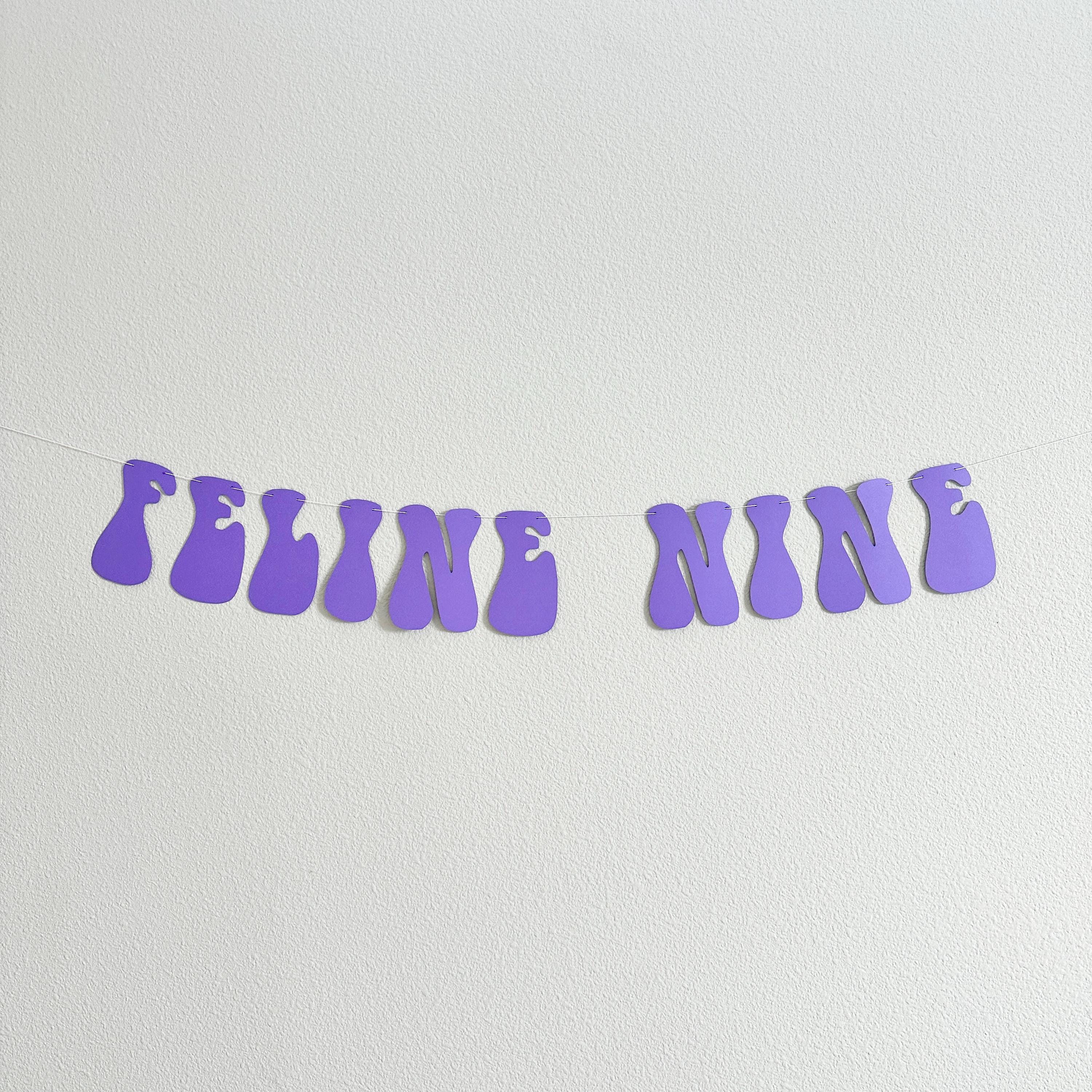 Feline Nine, 9th Birthday Party Decorations, Cat Themed 9th Birthday Party Banner, Cat Lovers 9th Birthday Party Ideas