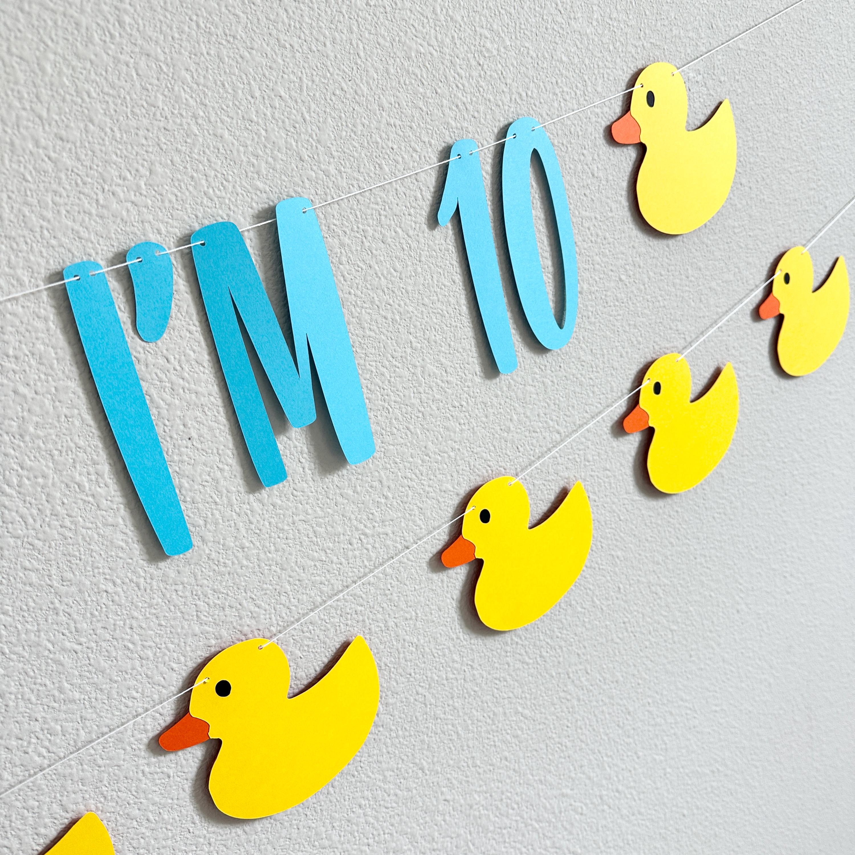 Holy Duck I&#39;m 10, Duck Themed 10th Birthday, Duck Decorations, Duck Birthday, Duck Party, Duck Banner, Custom Duck Banner, Yellow Ducks