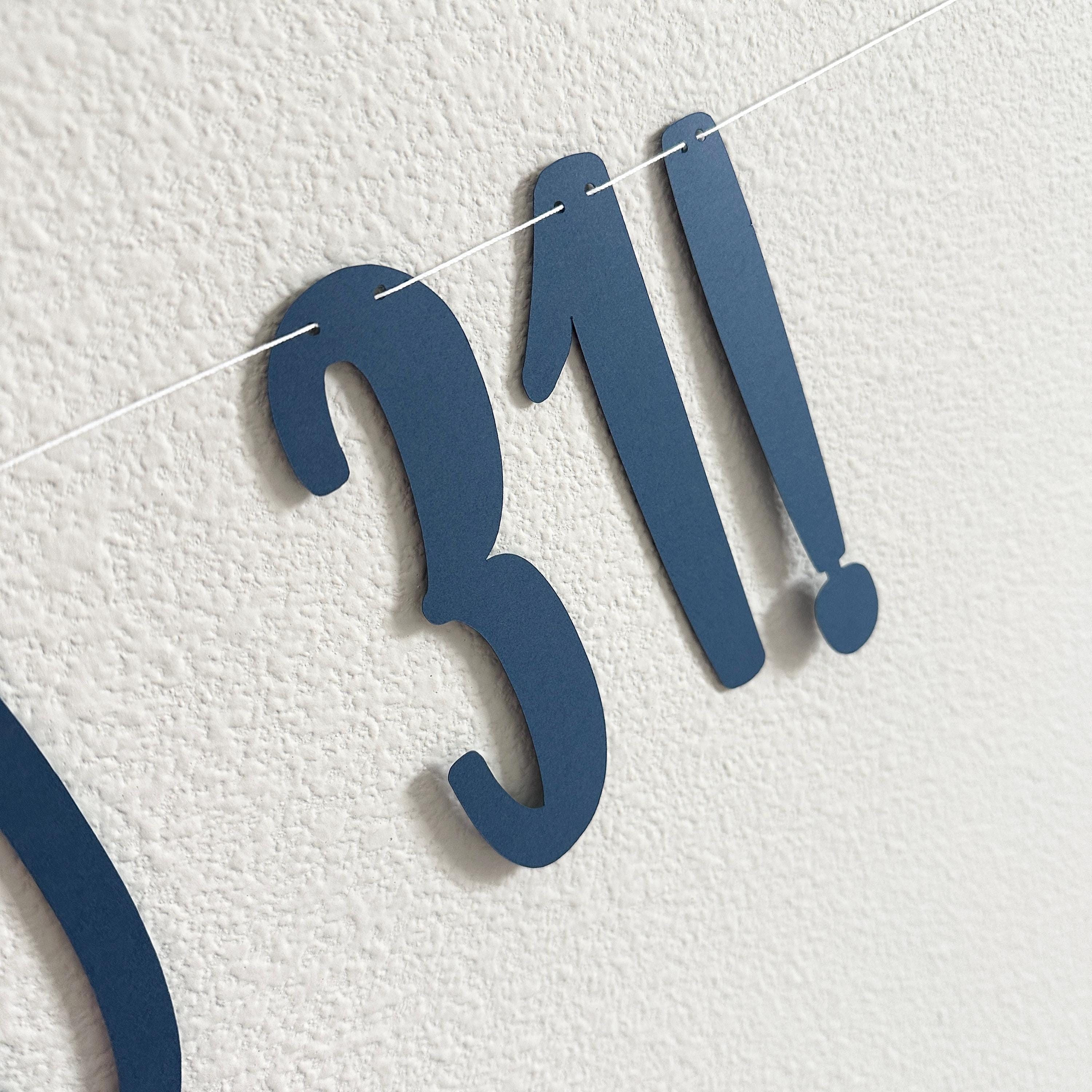 Casting Off Into 31!, 31st Birthday Banner, 31st Birthday Decorations, Fishing Themed Birthday Banner, Thirty One