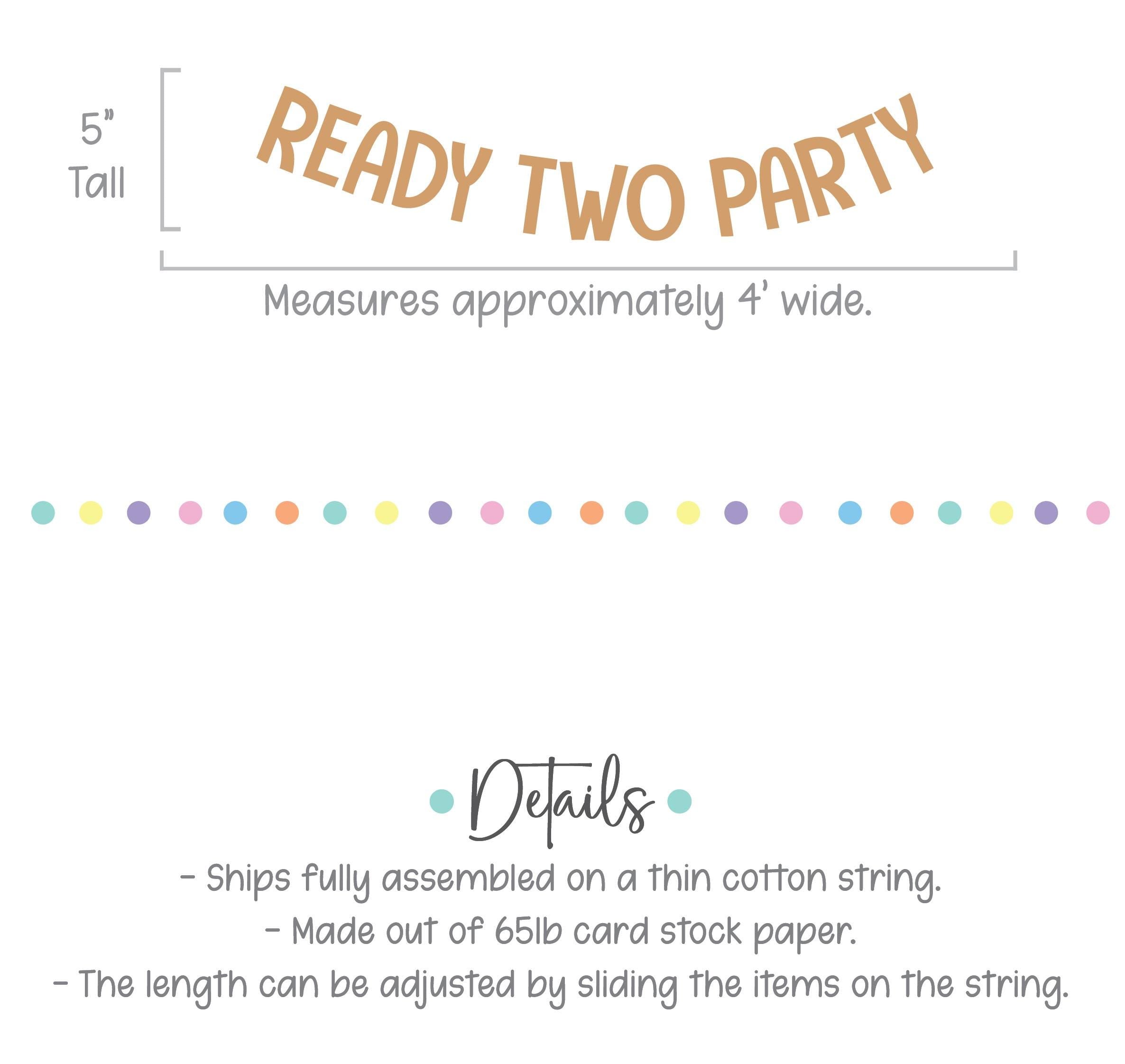 Ready Two Party Banner, 2nd Birthday Party Decorations, 2nd Birthday Theme Ideas, Second Birthday Party Banner, 2nd Birthday