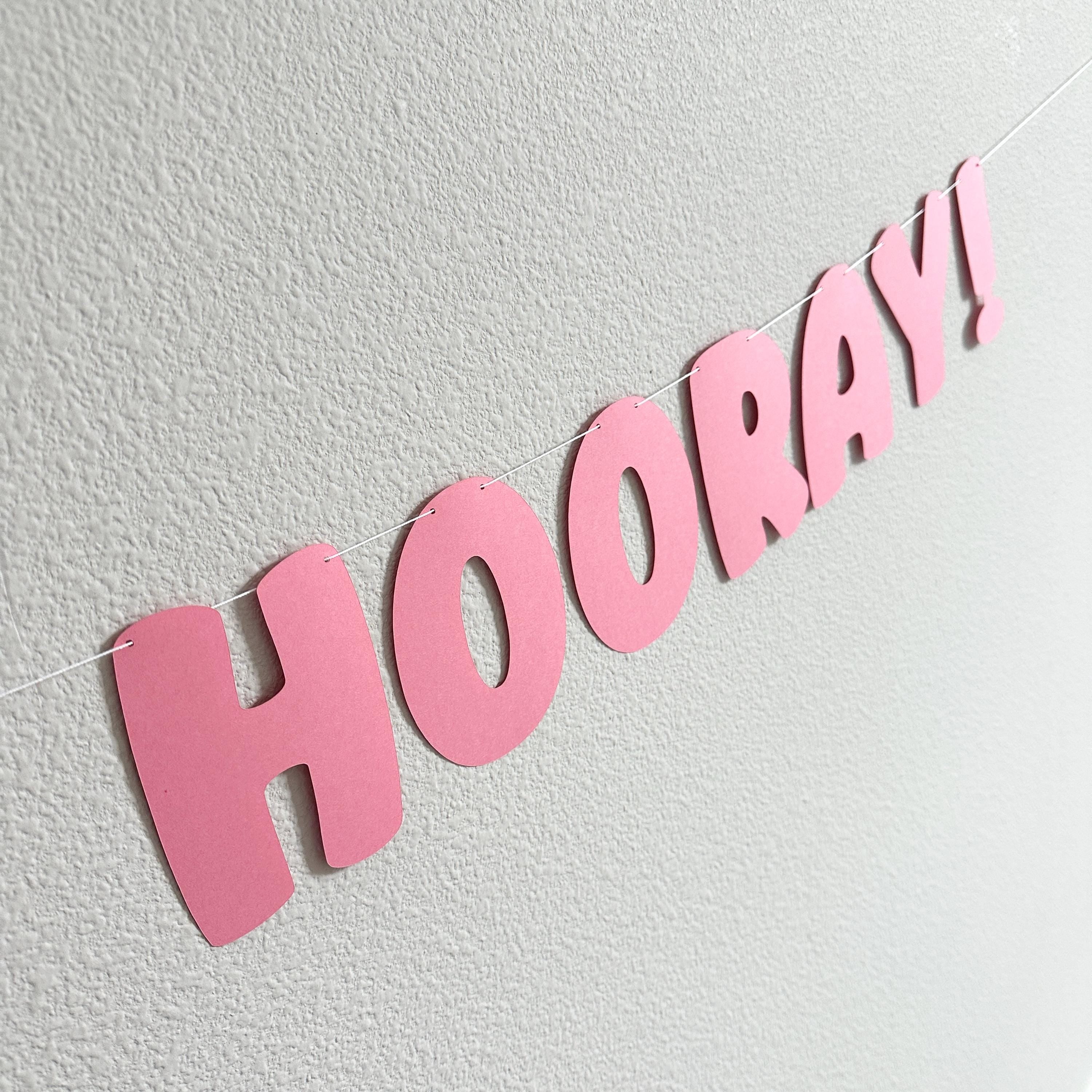 5 Today Hooray!, 5th Birthday Banner, 5th Birthday Party Decorations, 5th Birthday Party Ideas, Bold Birthday Banner, Pink Birthday Party