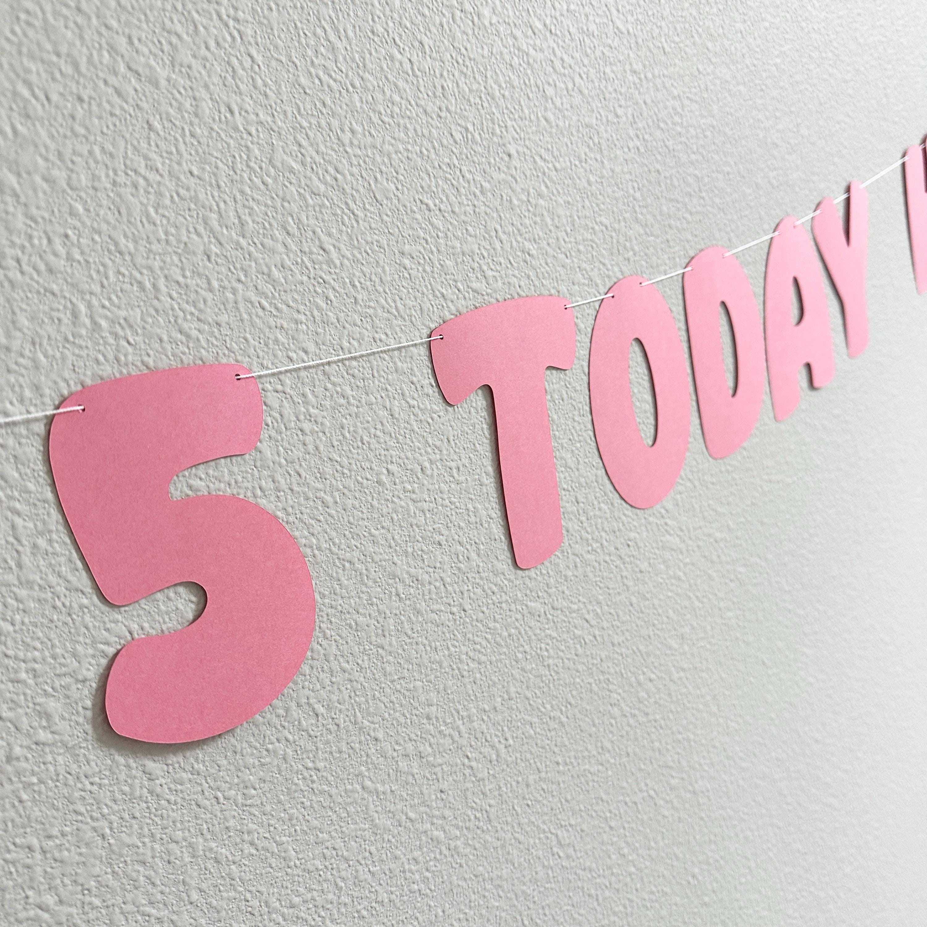 5 Today Hooray!, 5th Birthday Banner, 5th Birthday Party Decorations, 5th Birthday Party Ideas, Bold Birthday Banner, Pink Birthday Party