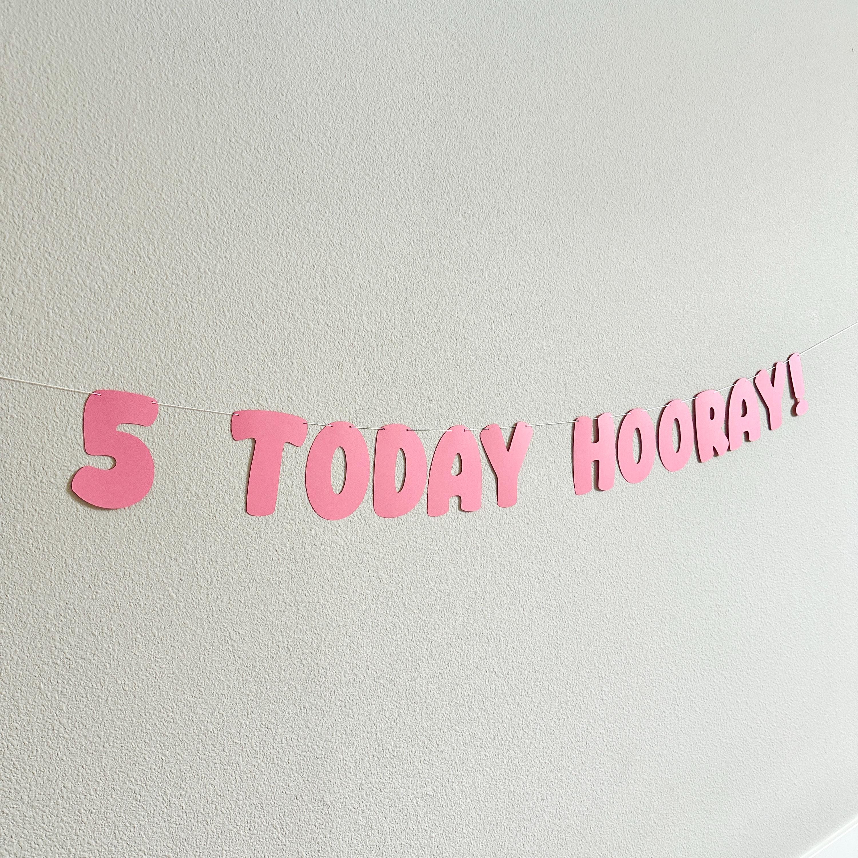 5 Today Hooray!, 5th Birthday Banner, 5th Birthday Party Decorations, 5th Birthday Party Ideas, Bold Birthday Banner, Pink Birthday Party