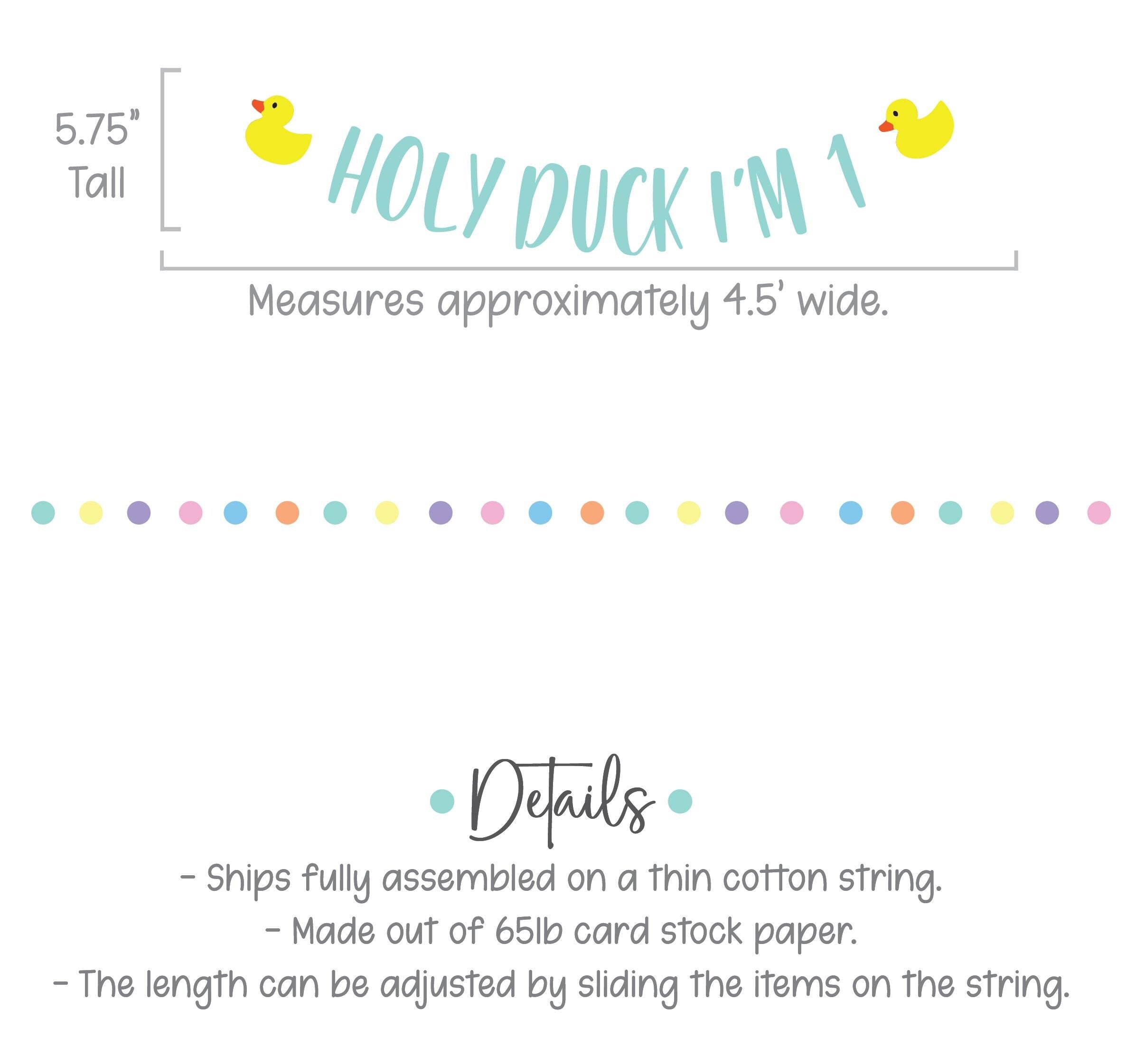 Holy Duck I&#39;m 1, Duck Birthday, First Birthday, 1st Birthday Party Theme Ideas, Rubber Duck Theme, Yellow Ducks