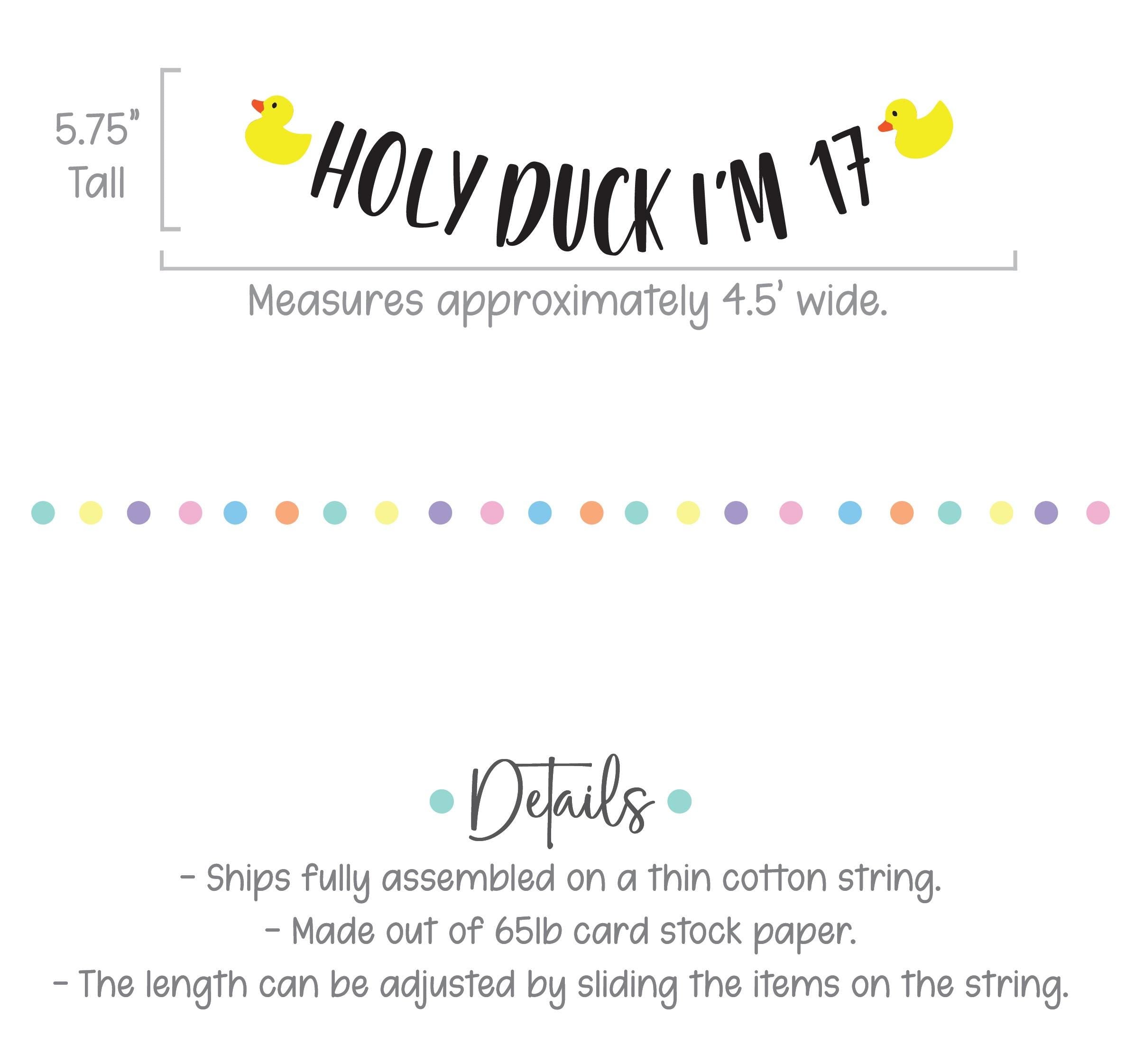 Holy Duck I&#39;m 17, 17th Birthday Party, 17th Birthday Ideas, Seventeen, 17th Birthday Party Theme Ideas, Duck Themed 17t Birthday Banner