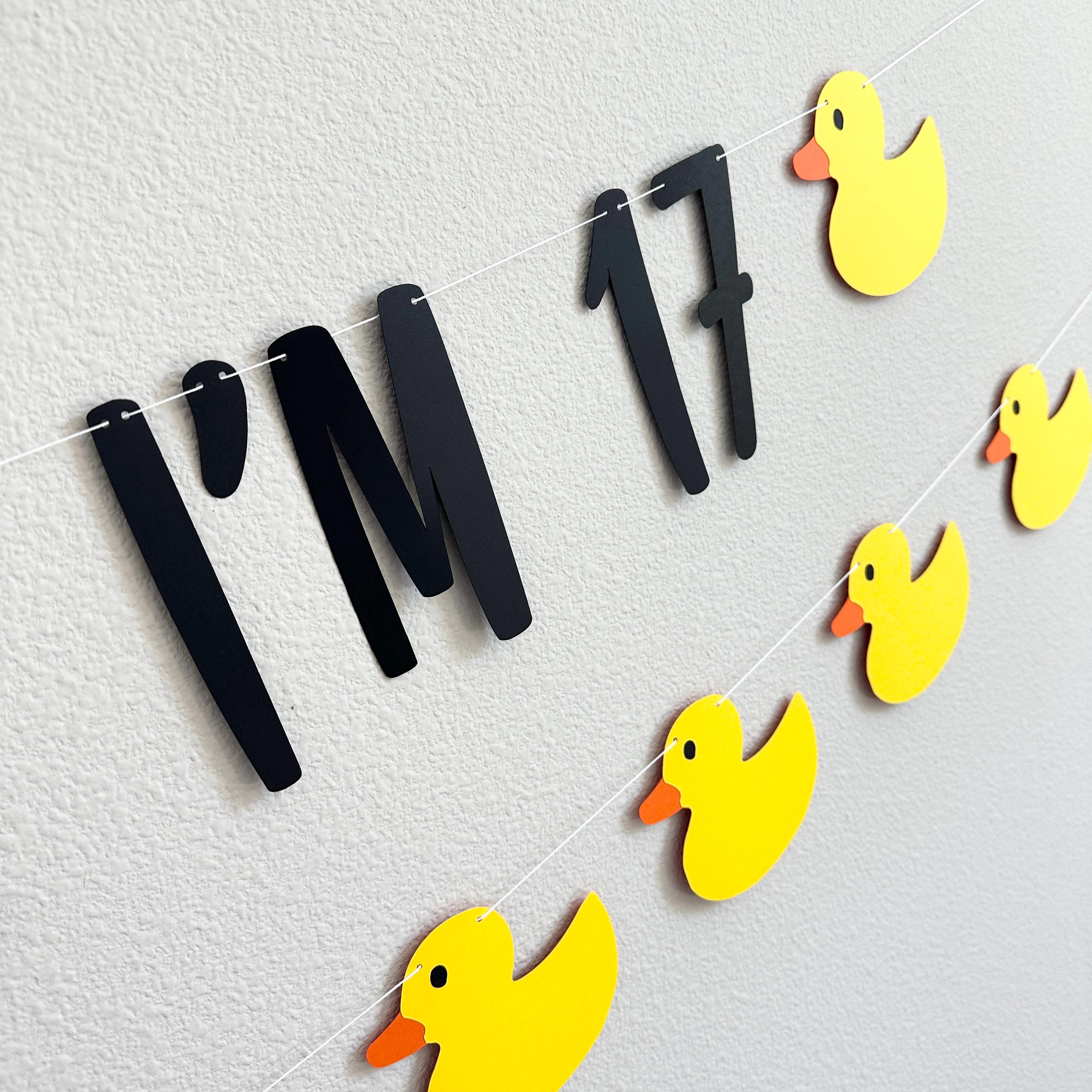 Holy Duck I&#39;m 17, 17th Birthday Party, 17th Birthday Ideas, Seventeen, 17th Birthday Party Theme Ideas, Duck Themed 17t Birthday Banner