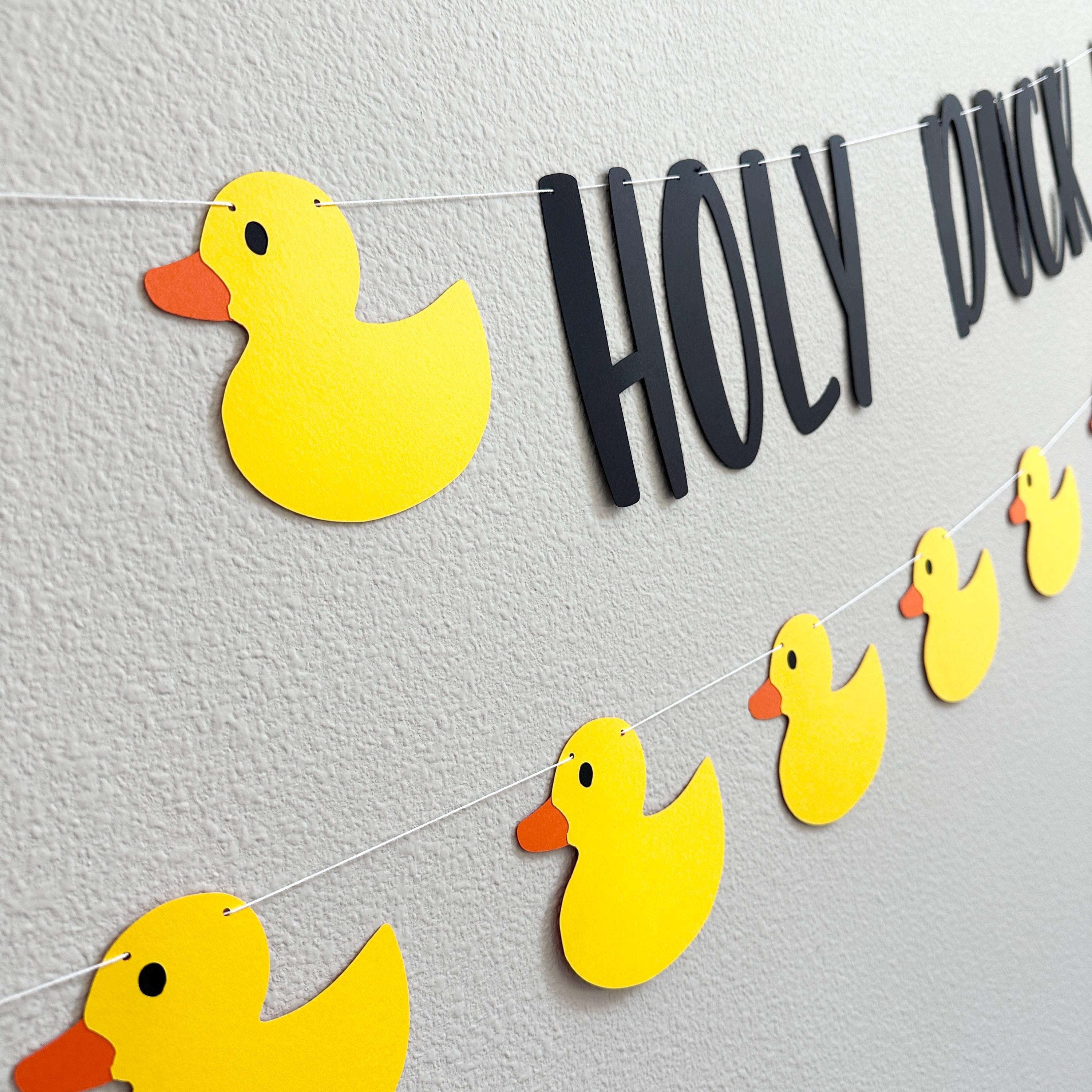 Holy Duck I&#39;m 17, 17th Birthday Party, 17th Birthday Ideas, Seventeen, 17th Birthday Party Theme Ideas, Duck Themed 17t Birthday Banner