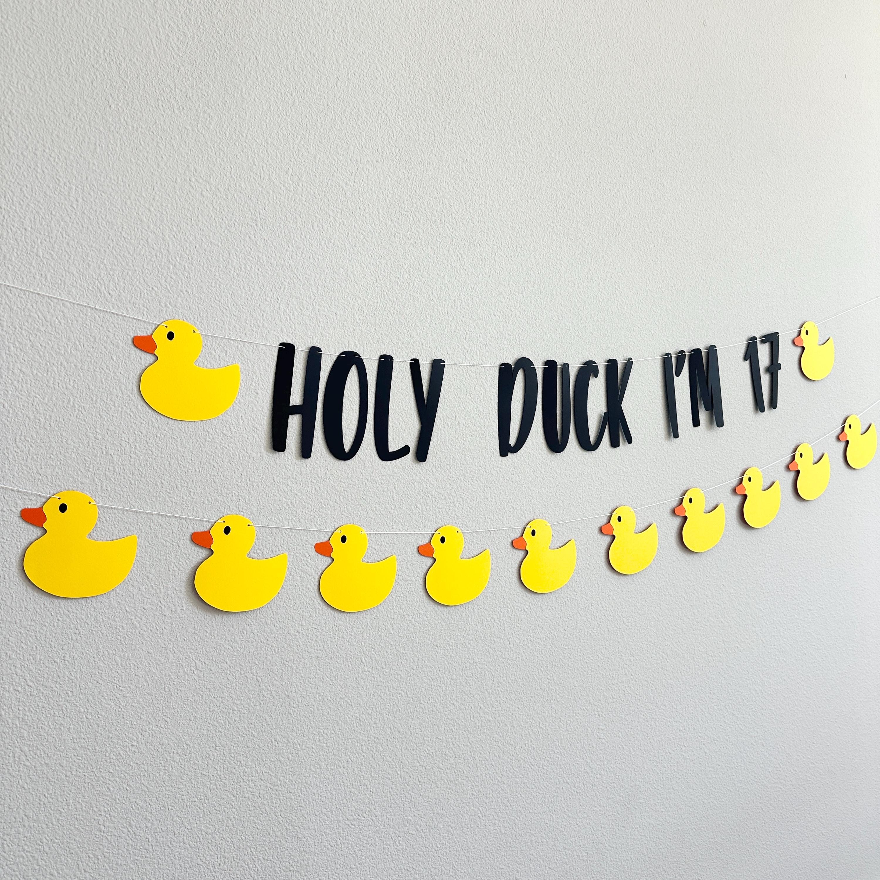Holy Duck I&#39;m 17, 17th Birthday Party, 17th Birthday Ideas, Seventeen, 17th Birthday Party Theme Ideas, Duck Themed 17t Birthday Banner