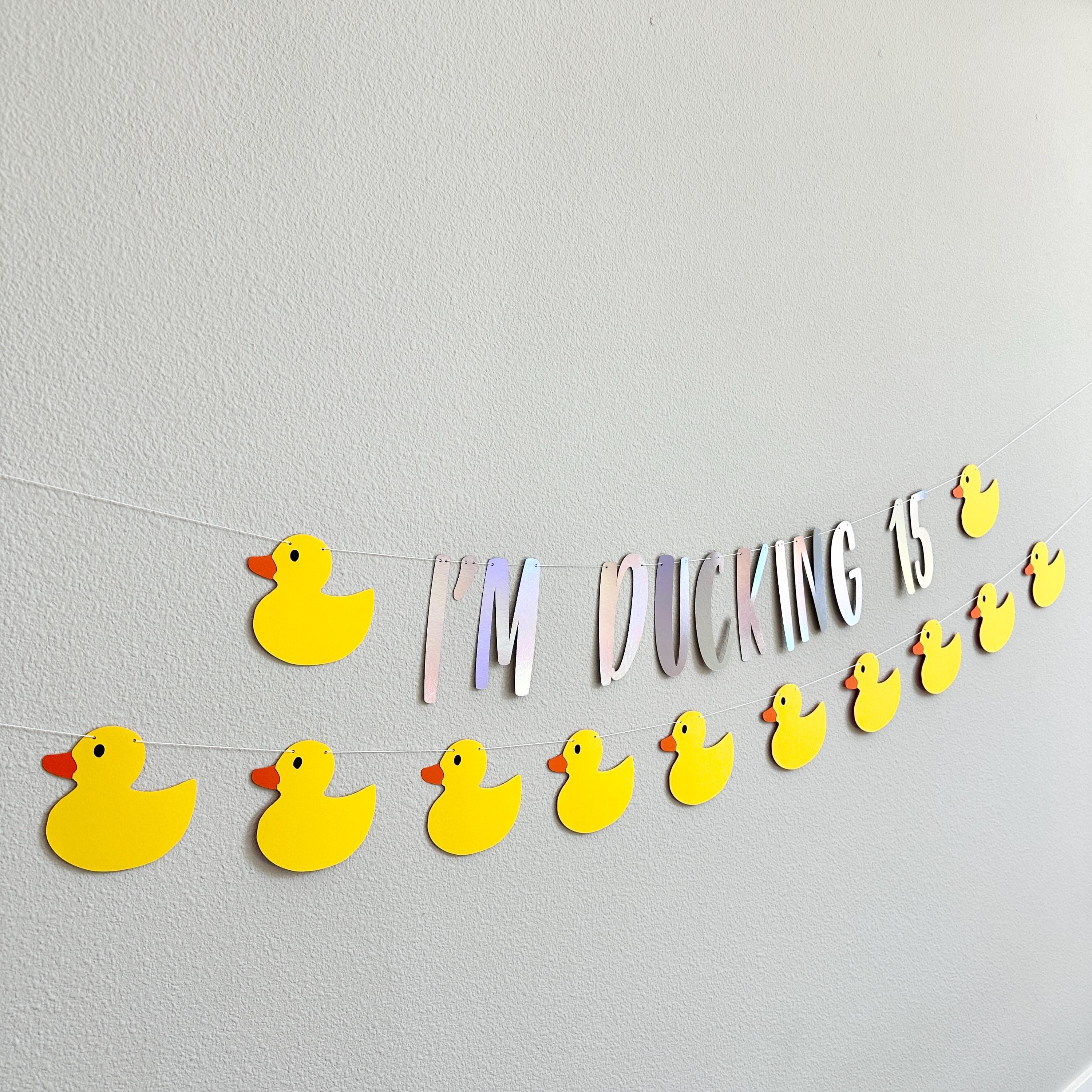 I&#39;m Ducking 15, 15th Birthday Party Banner, 15th Birthday Party Theme Ideas, Duck 15th Birthday Decorations, Fifteen