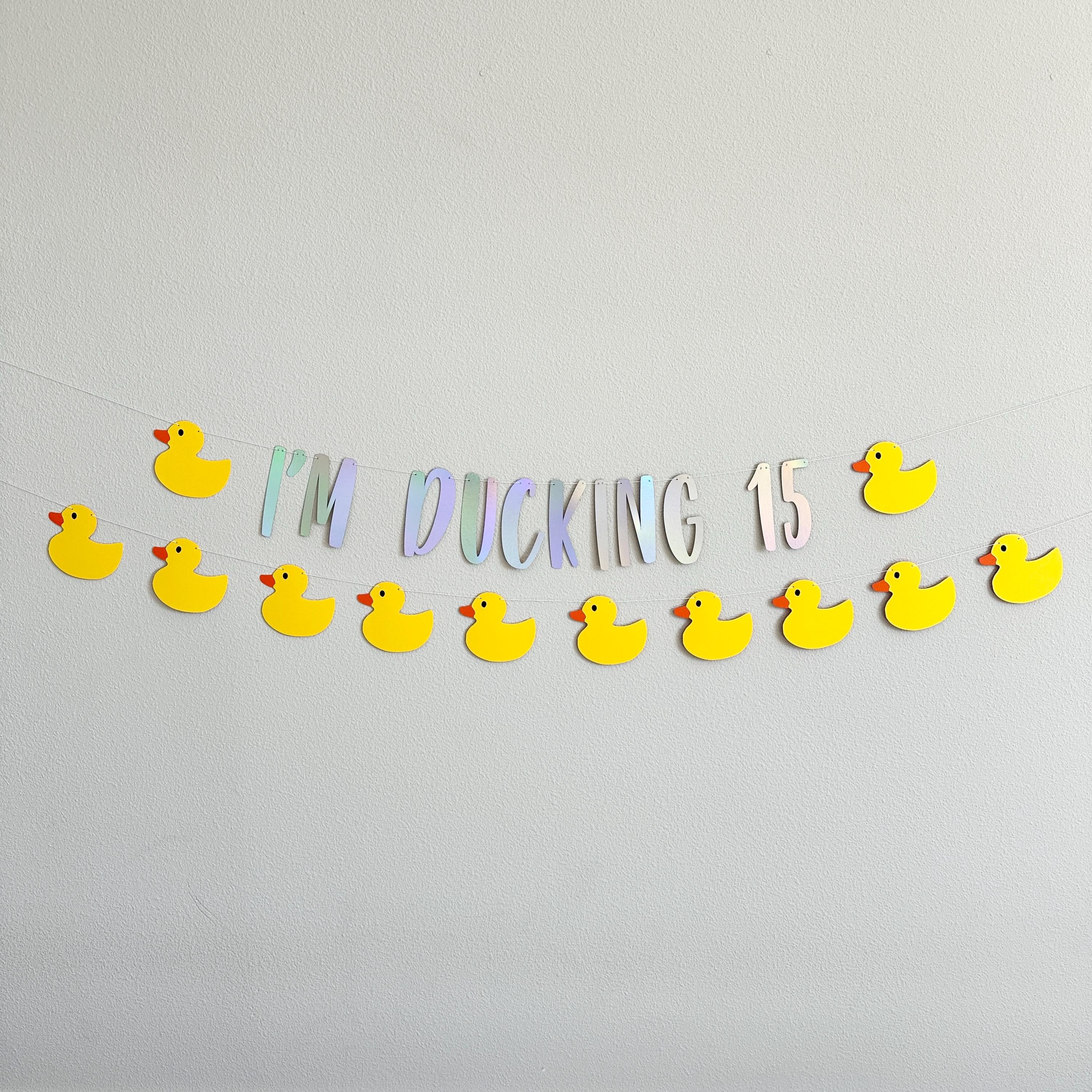 I&#39;m Ducking 15, 15th Birthday Party Banner, 15th Birthday Party Theme Ideas, Duck 15th Birthday Decorations, Fifteen