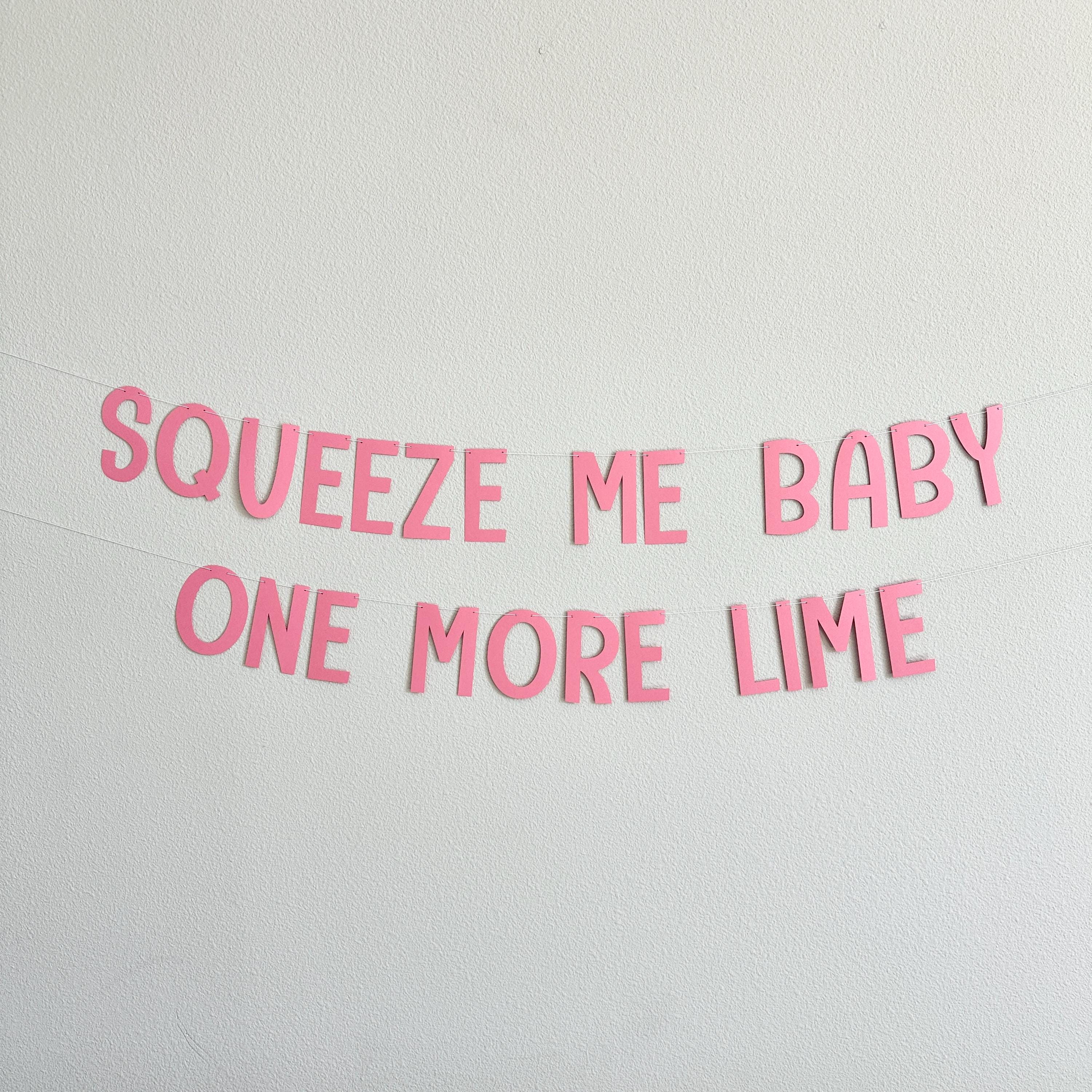 Squeeze Me Baby One More lime, Squeeze Me Baby One More Lime Banner, Bachelorette Party, Bridal Shower Decorations