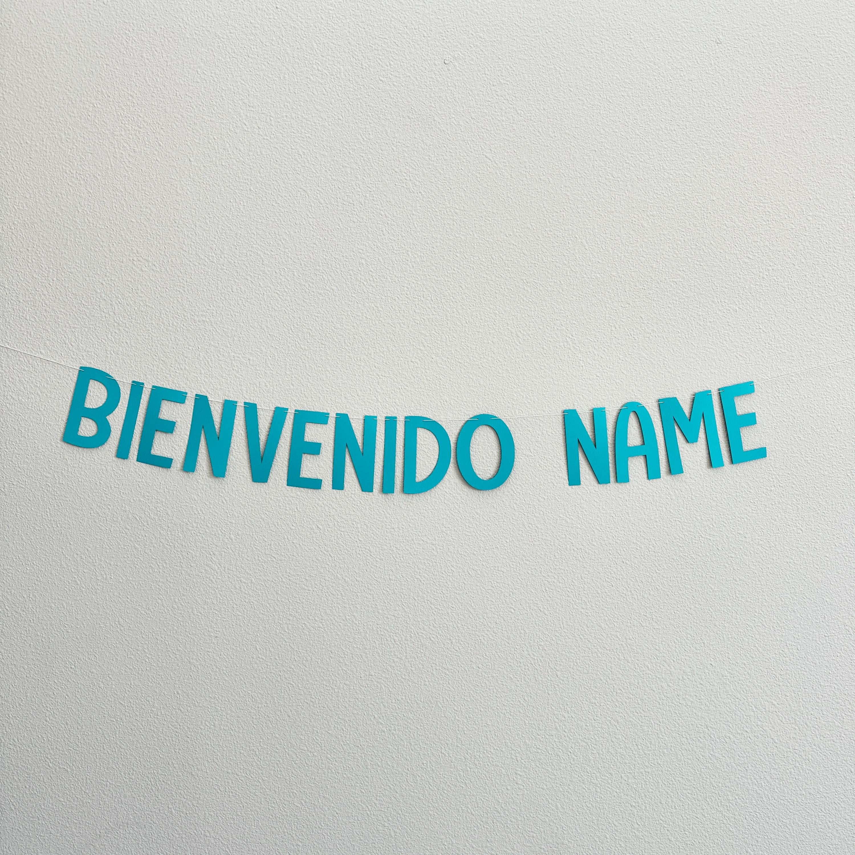 Bienvenido Name, Custom Bienvenido Banner, Bienvenido, Welcome Banner, Welcome Decorations, Welcome Party