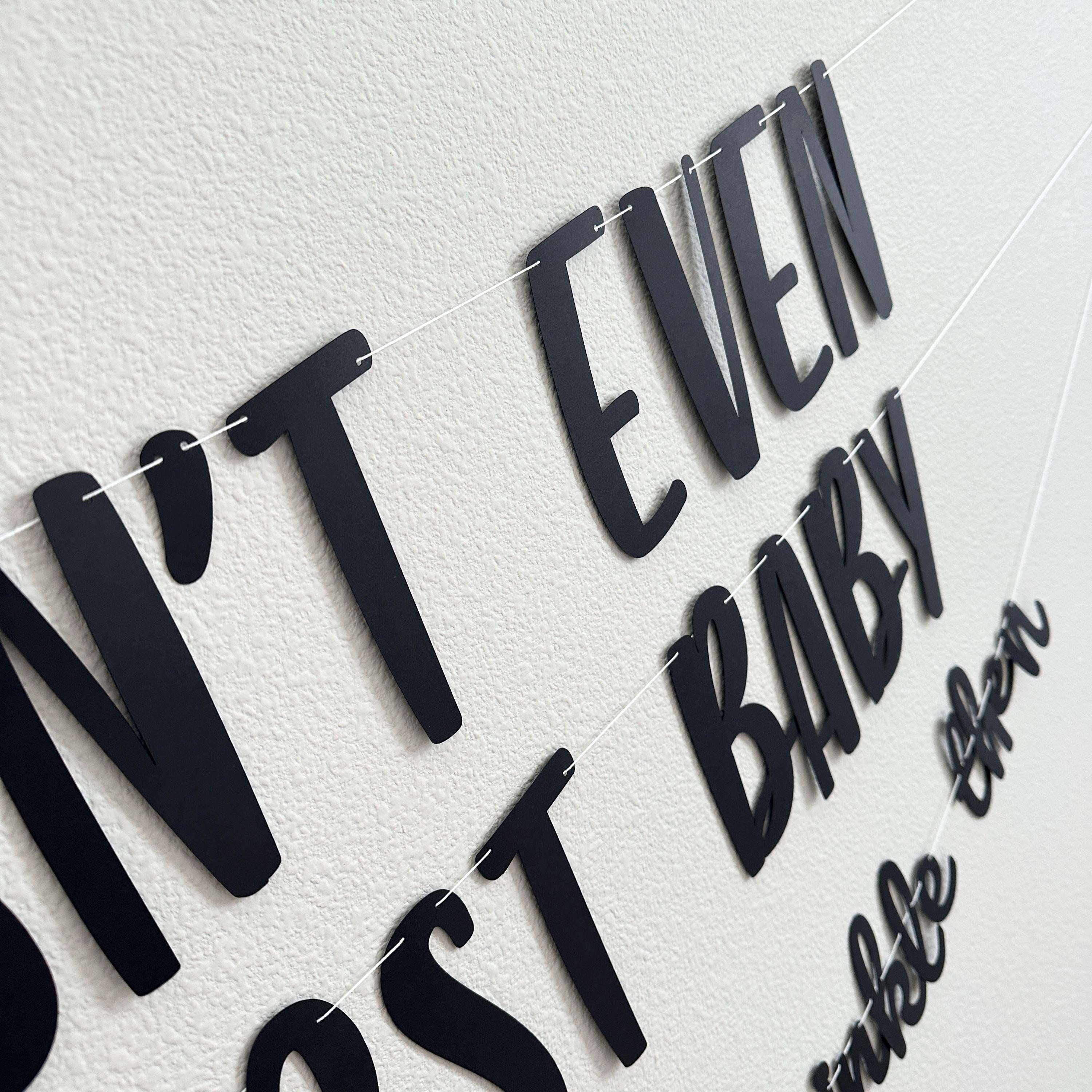 This Isn&#39;t Even Her First Baby So It&#39;s More Of A Sprinkle Then, Bebe Shower Banner, Baby Sprinkle Theme Ideas, 2nd Baby Shower