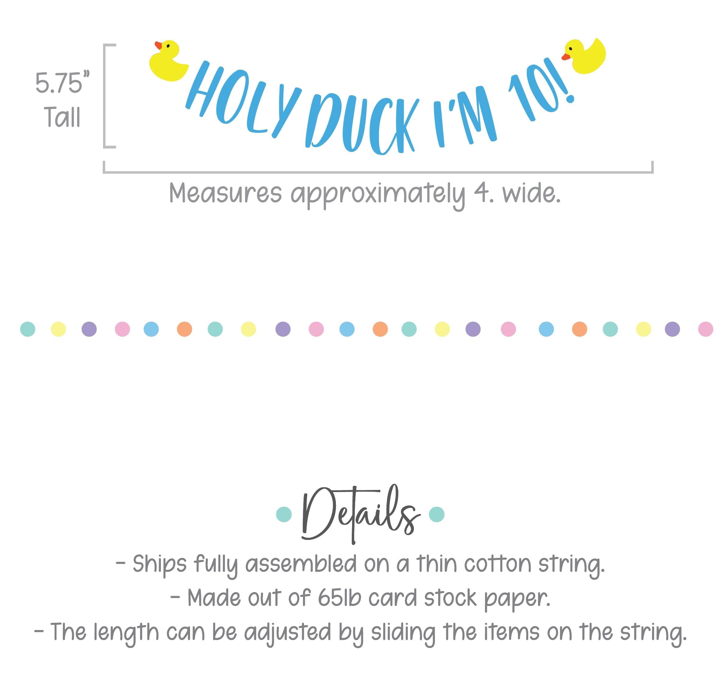 Holy Duck I&#39;m 10, Duck Themed 10th Birthday, Duck Decorations, Duck Birthday, Duck Party, Duck Banner, Custom Duck Banner, Yellow Ducks